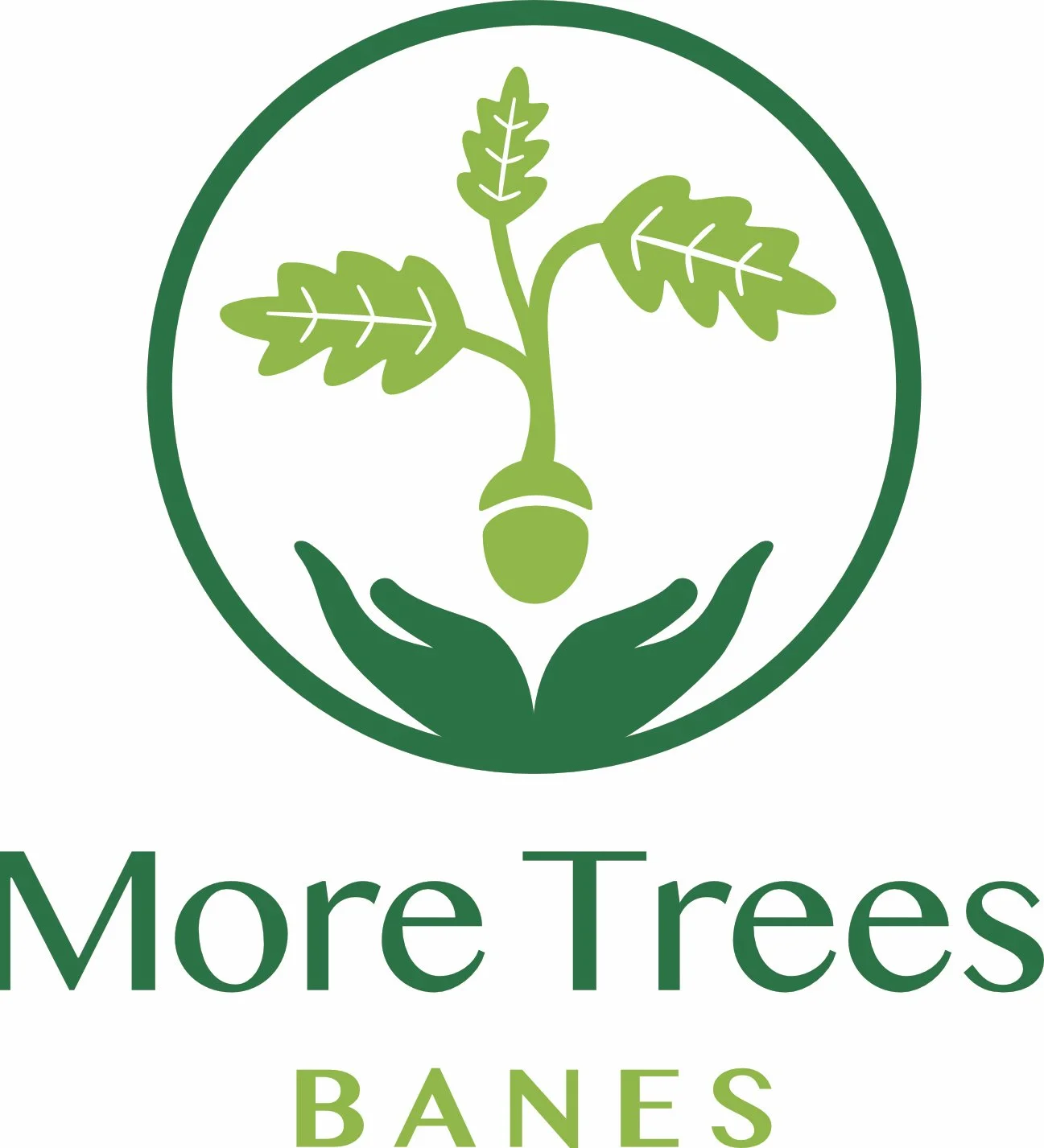 logo-More Trees-colour-large.jpg