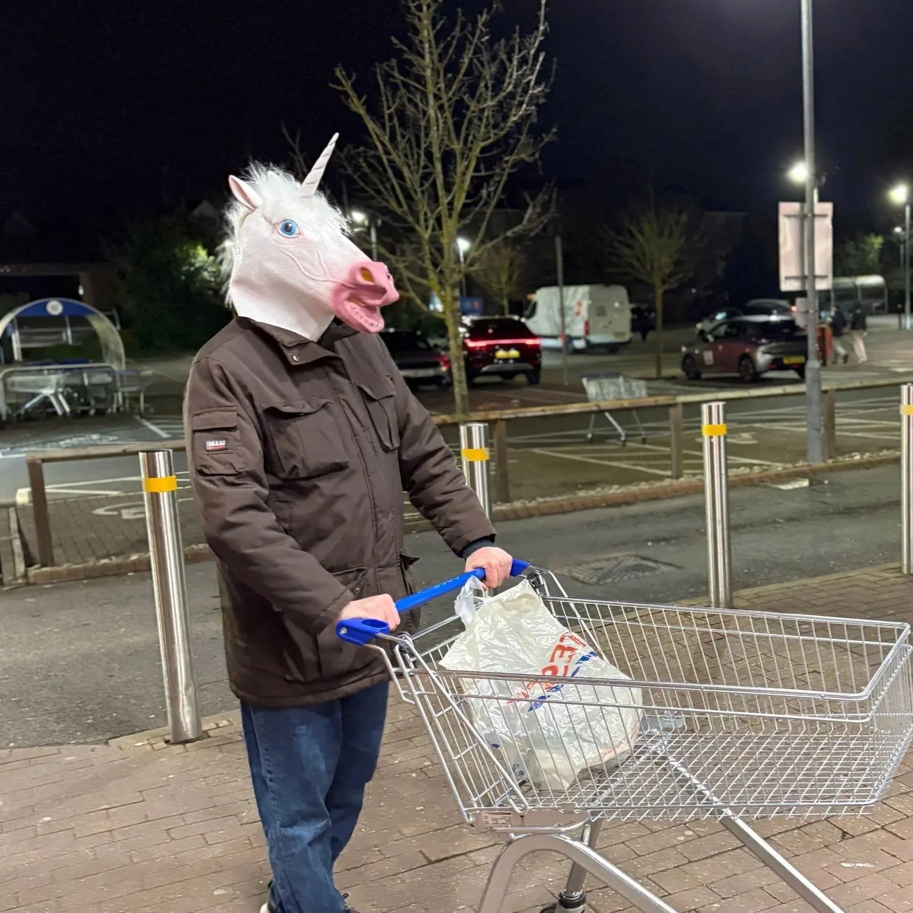 The Last Unicorn comes to Bath