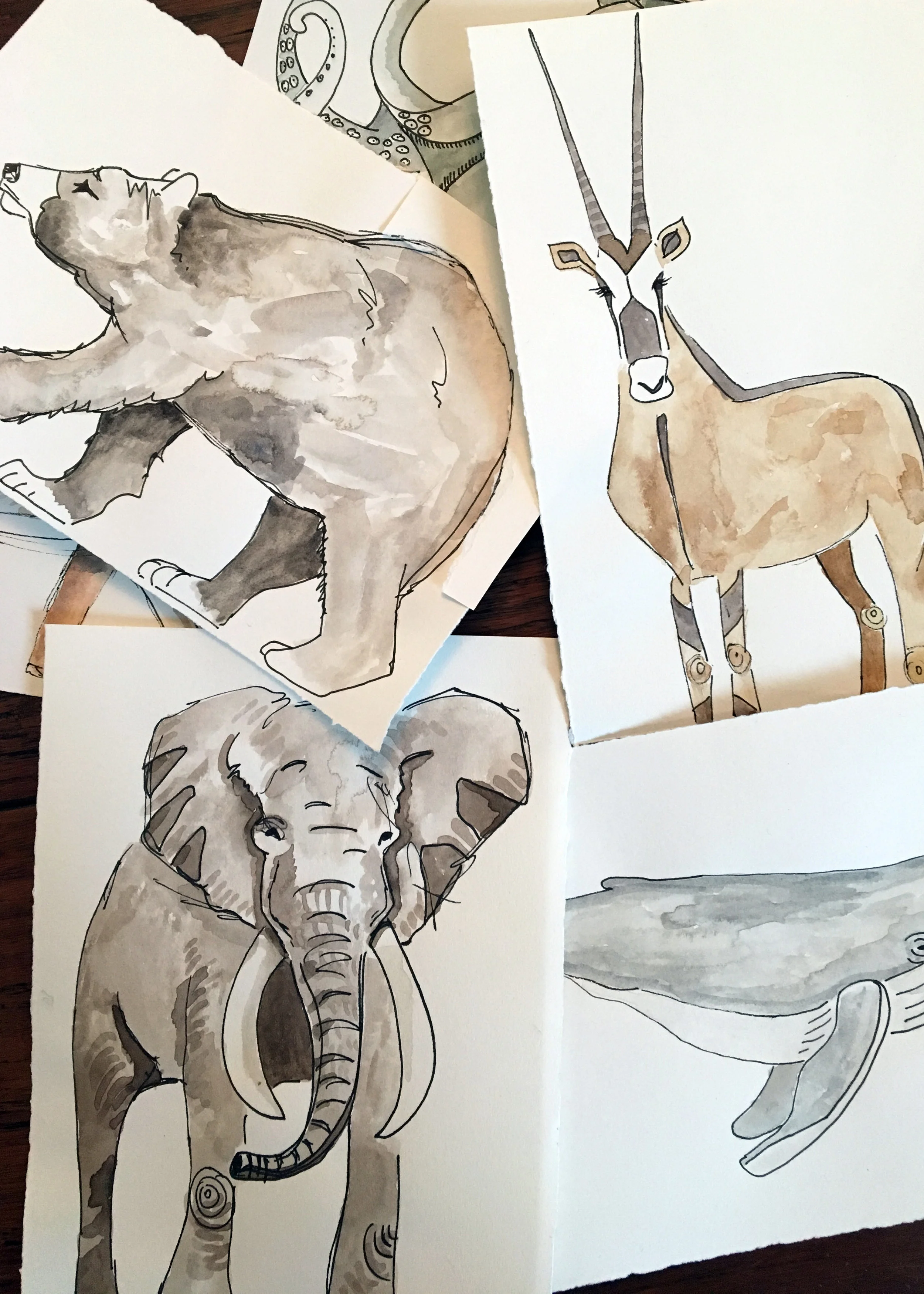 drawings-crop.jpg