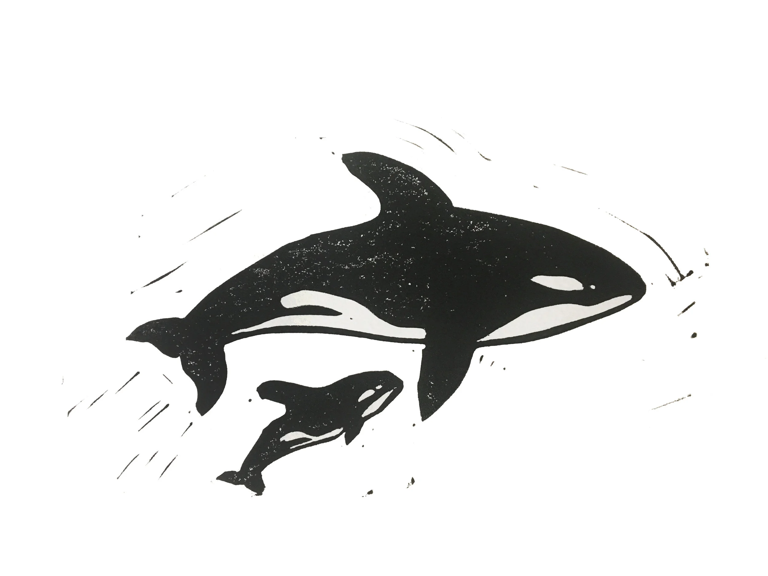 Orca Print