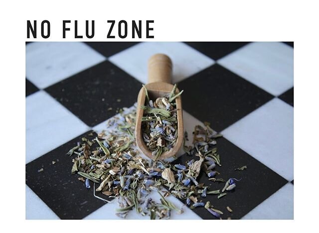 This flu season has been hitting HARD 🤒😷. It seems like everywhere you turn there's a 🤧 person coughing his life away. Our No Flu Zone tea is a combination of herbs like Elderberry, Echinacea, Hyssop, and others that are high in Vitamin C and anti