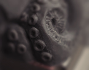 Detail Shot of Early Revthulu