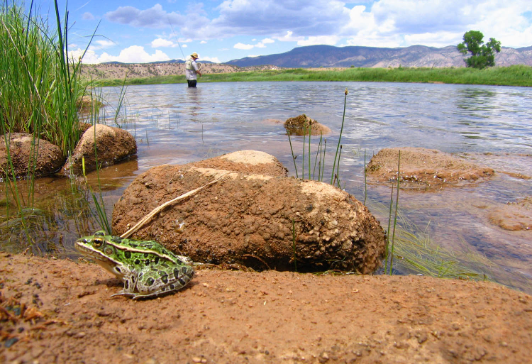 Green River Proposed for Wild and Scenic River Designation