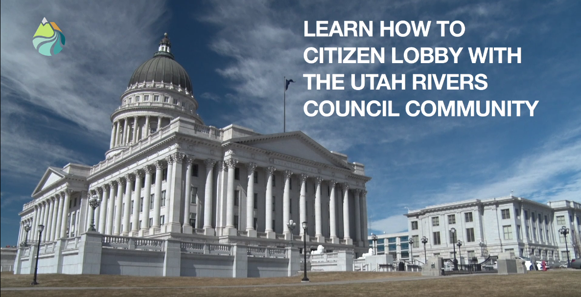 Lobbying Workshop.png
