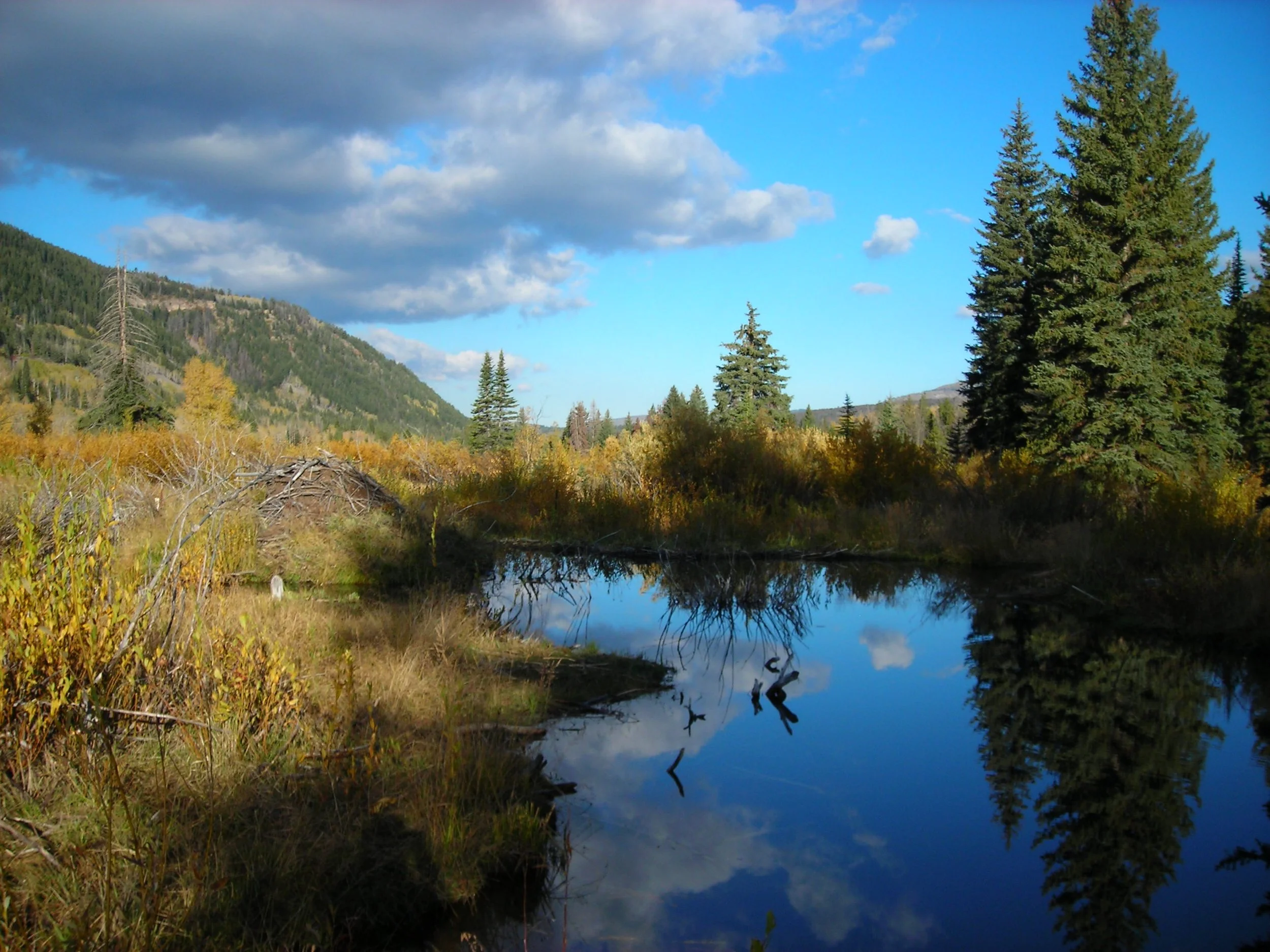 Rescinding the Roadless Rule Could Be a Water Quality Disaster