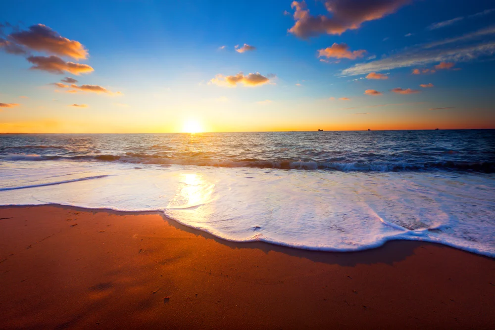 The Power of Reflection