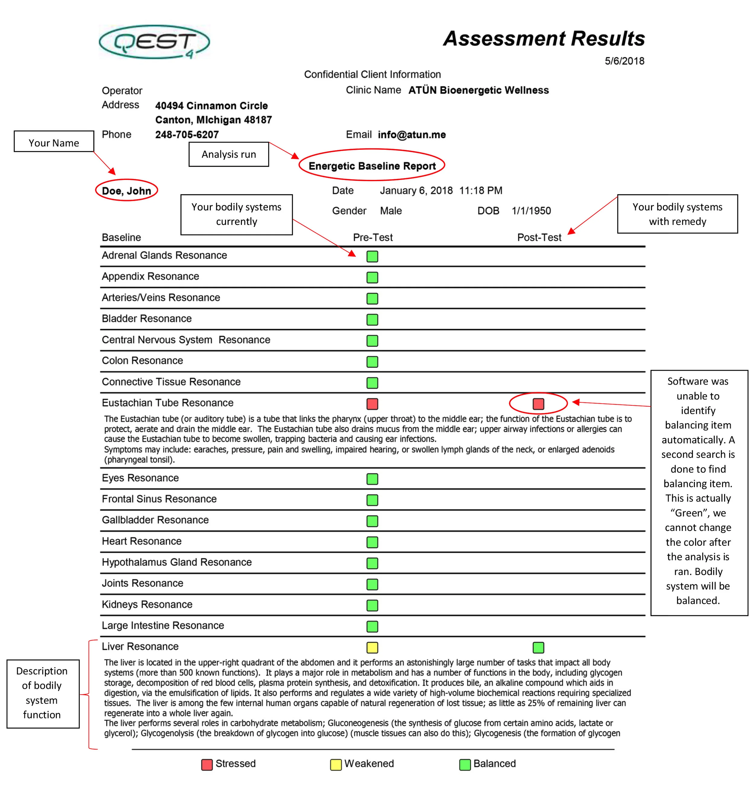 BioAnalysisEdit.jpg