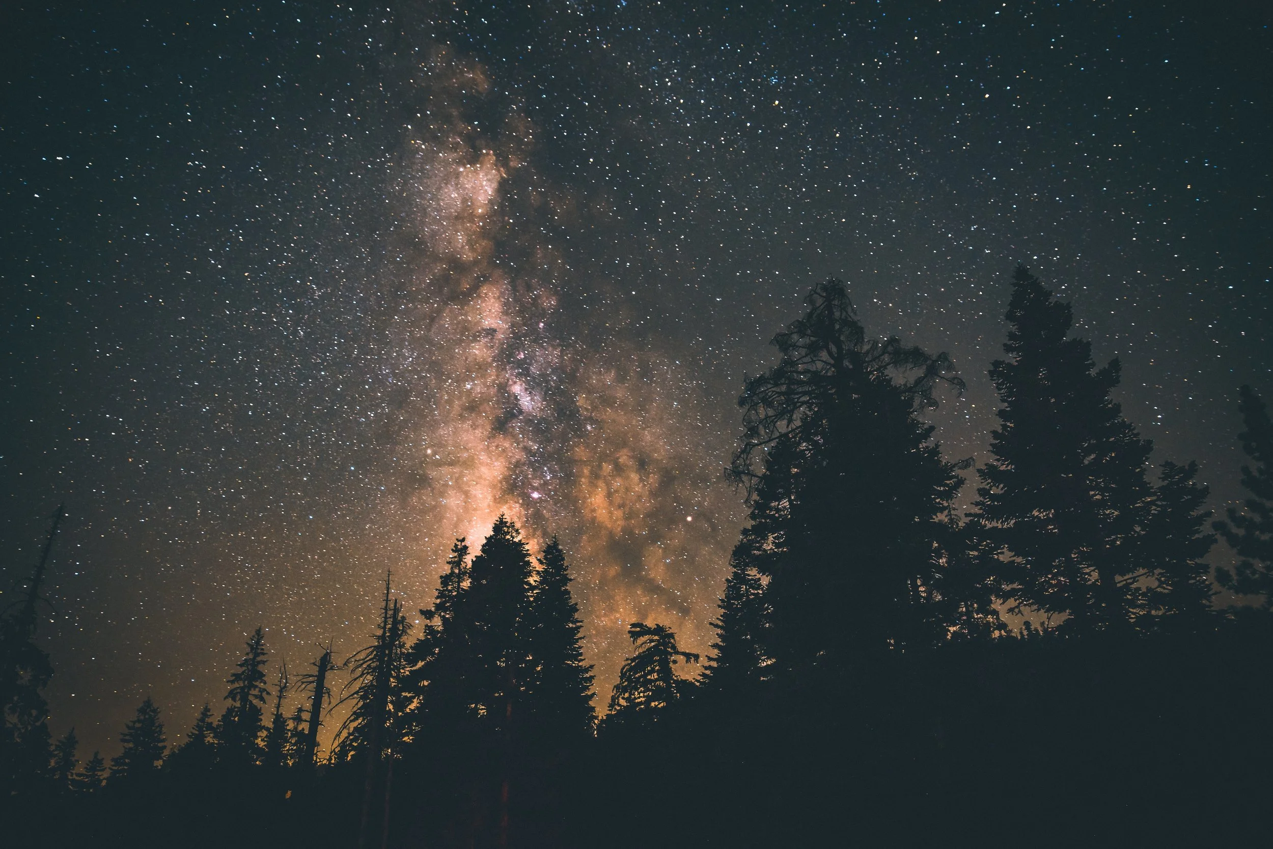 Visit a Washington state park for free Sept. 22