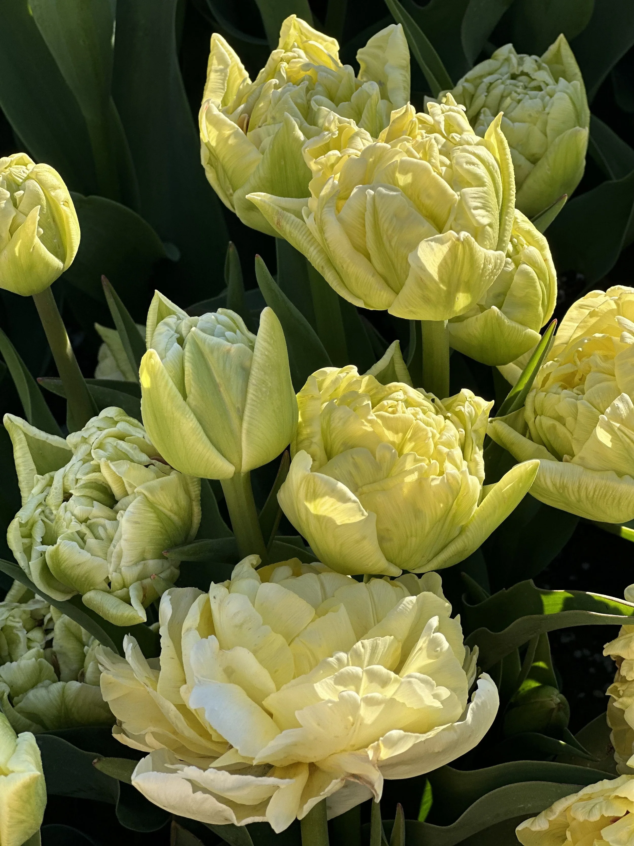 April Activities Abound!