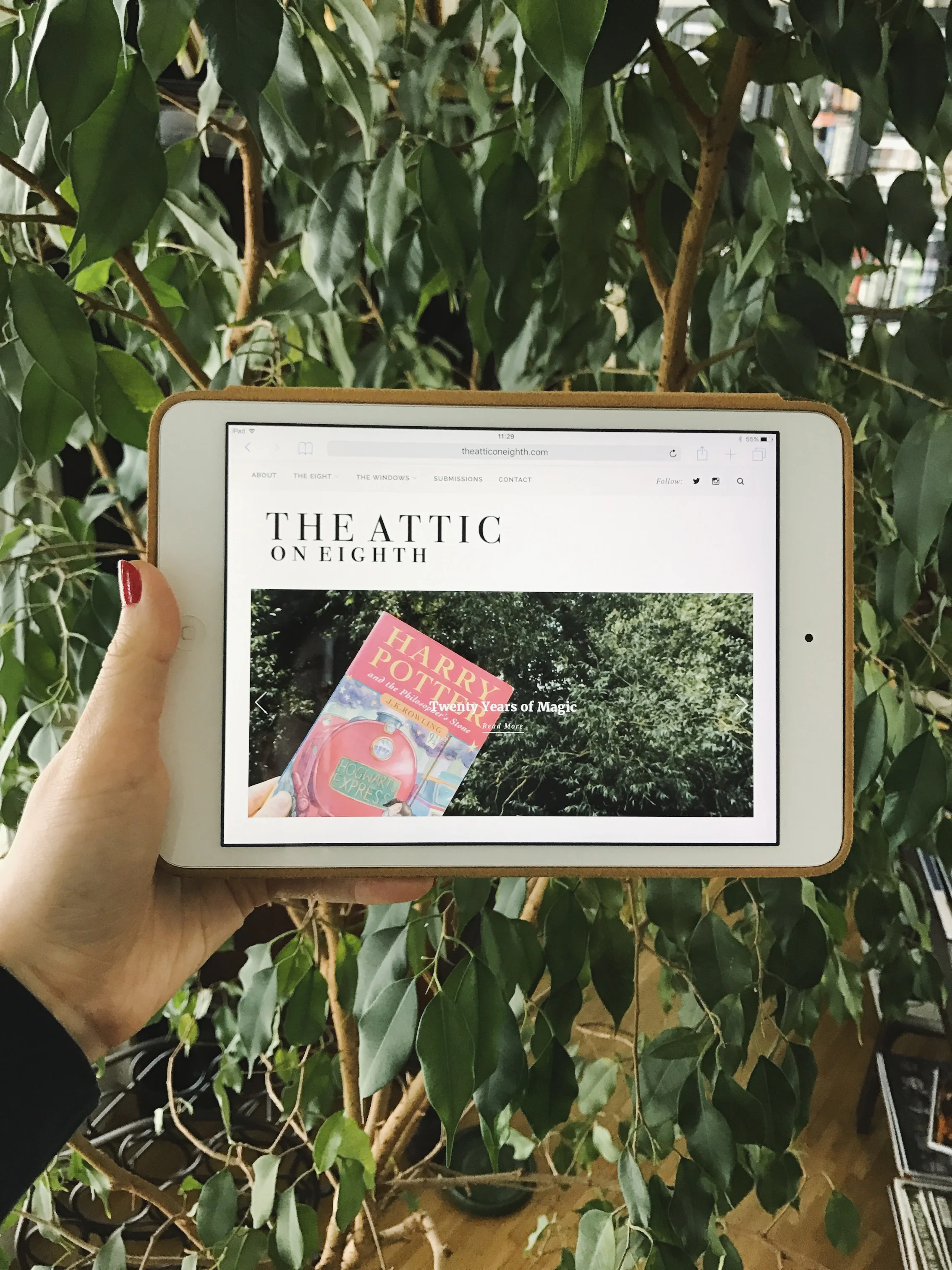 The Weekly Digest: 25th June - 1st July