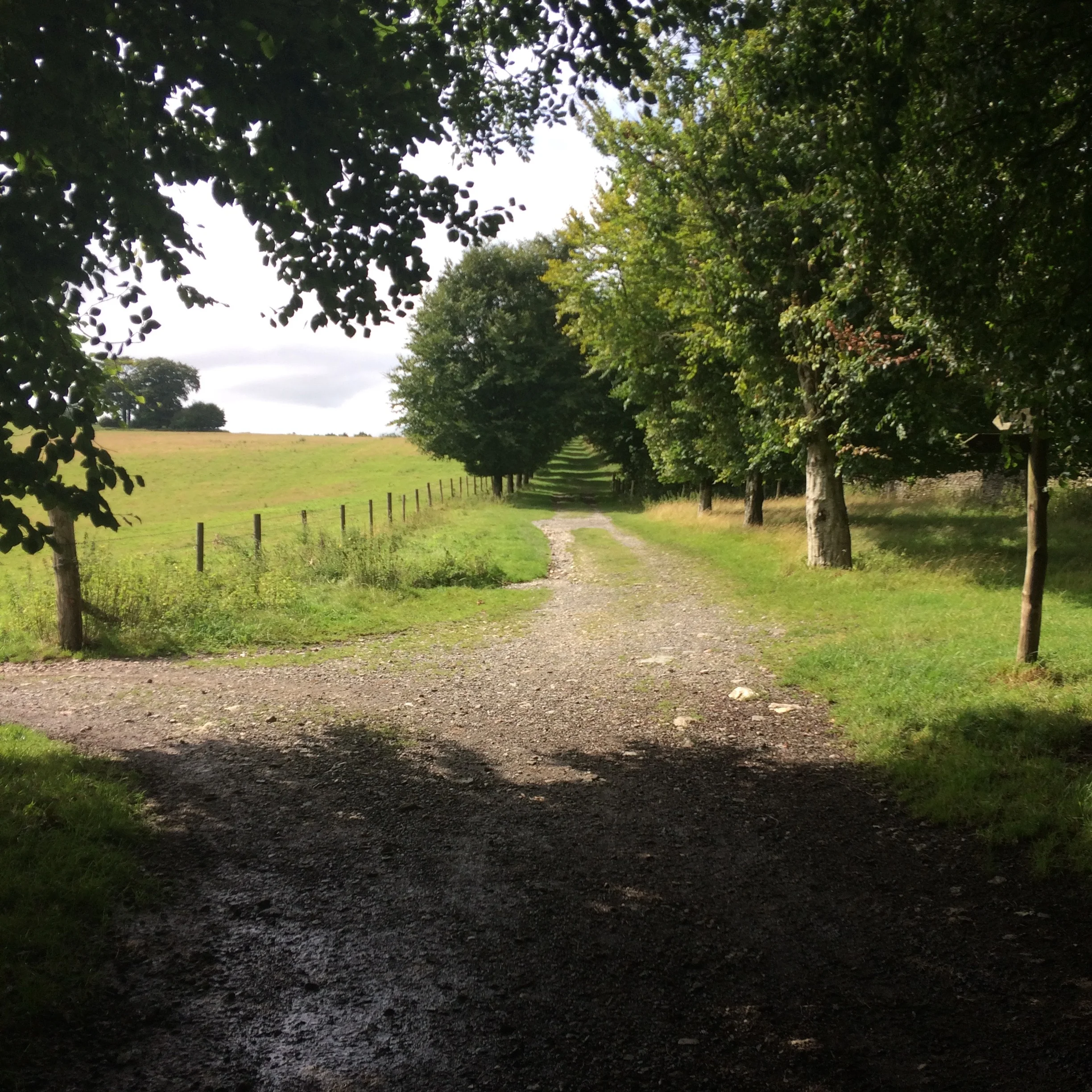 Eliza Shares Her Favorite Summer Reads