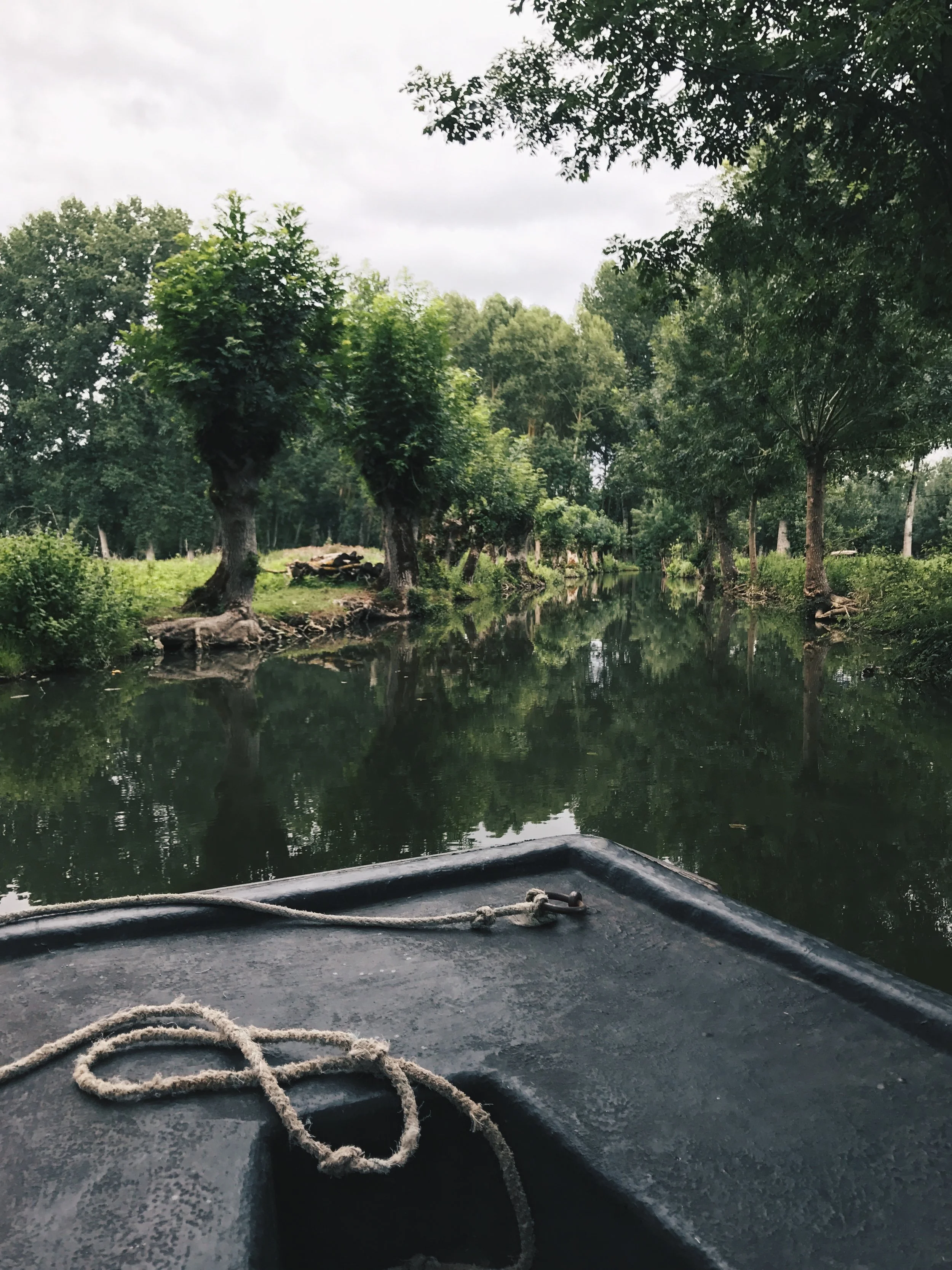 An Afternoon Punting in the Marais Poitevin