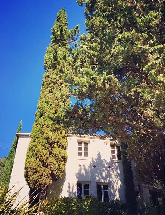 Dear Lee — The In-Laws on Holiday