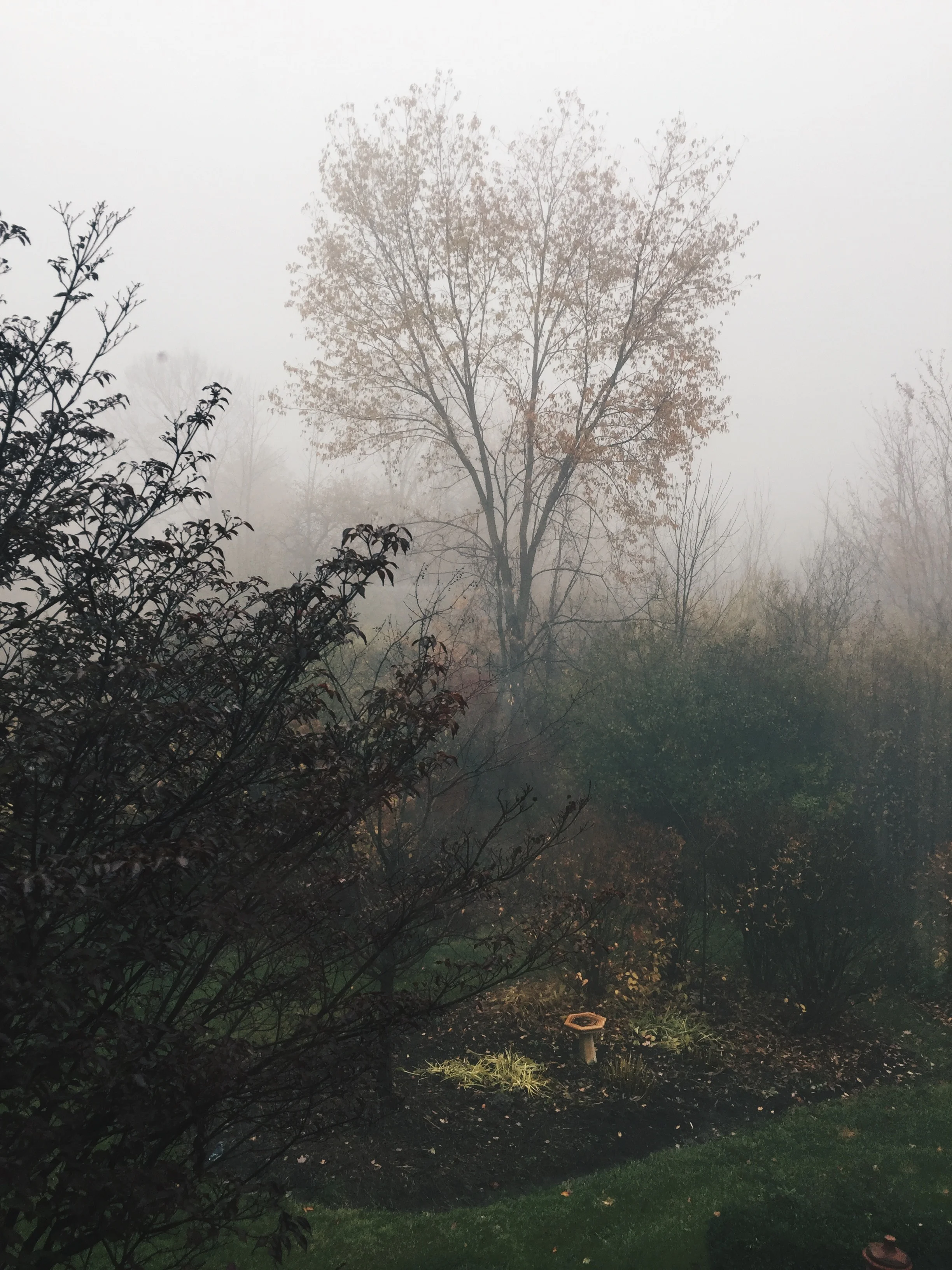 An #AutumnAtTheAttic Roundup