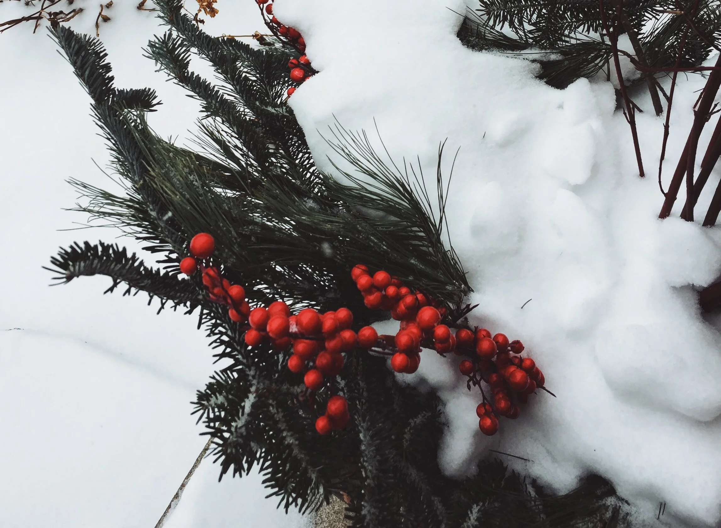 Winter Poetry Beyond Robert Frost