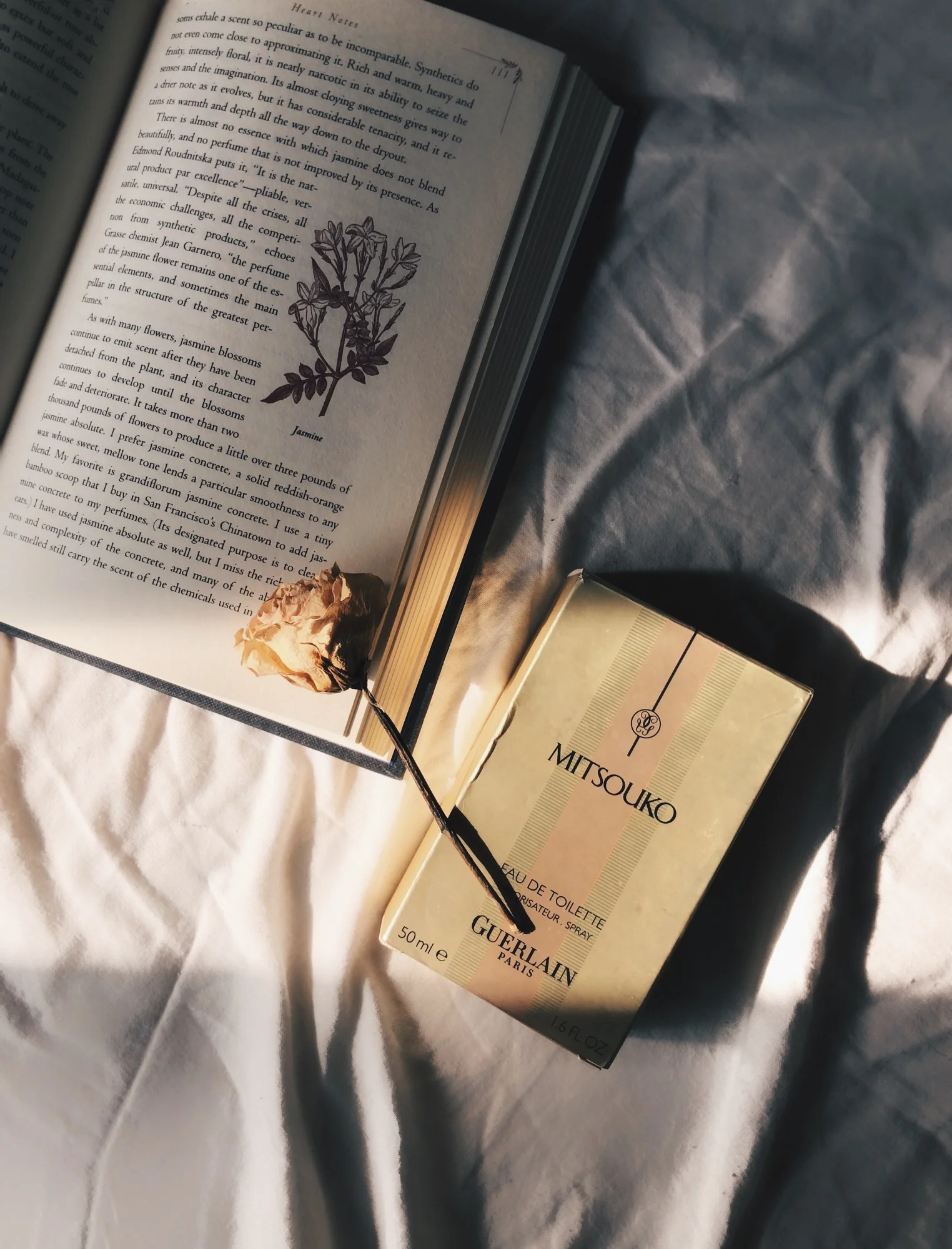 Perfumes for the Season: Autumnal Perfumes
