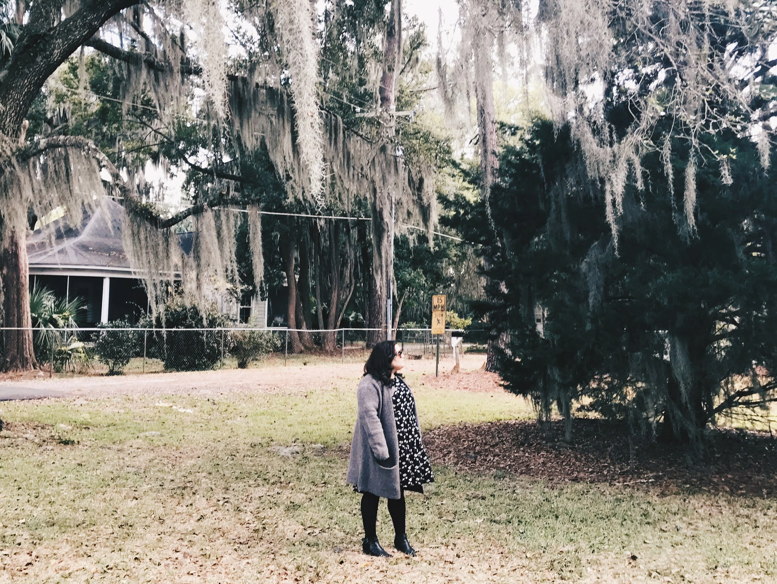 Late Autumn Essentials