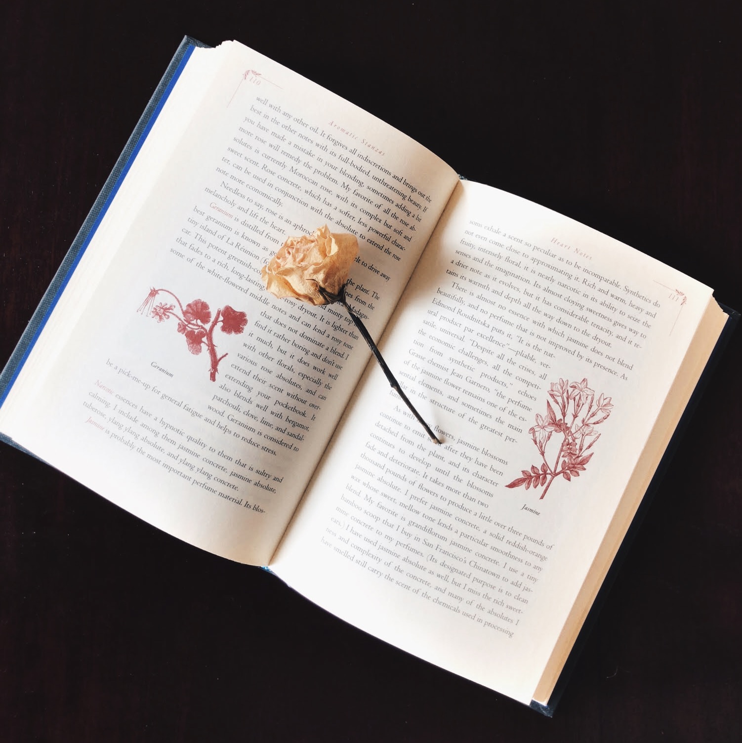 Scent and Story: Perfumes for Your Favorite Literary Characters