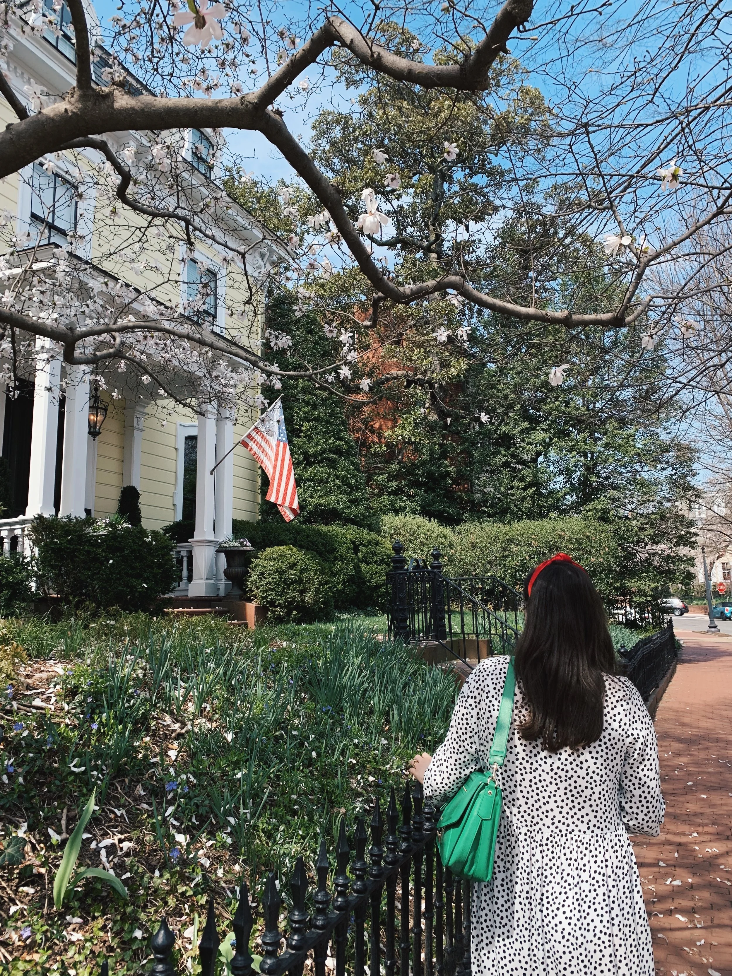 The Attic City Guides, Vol. 2: Washington, D.C. 