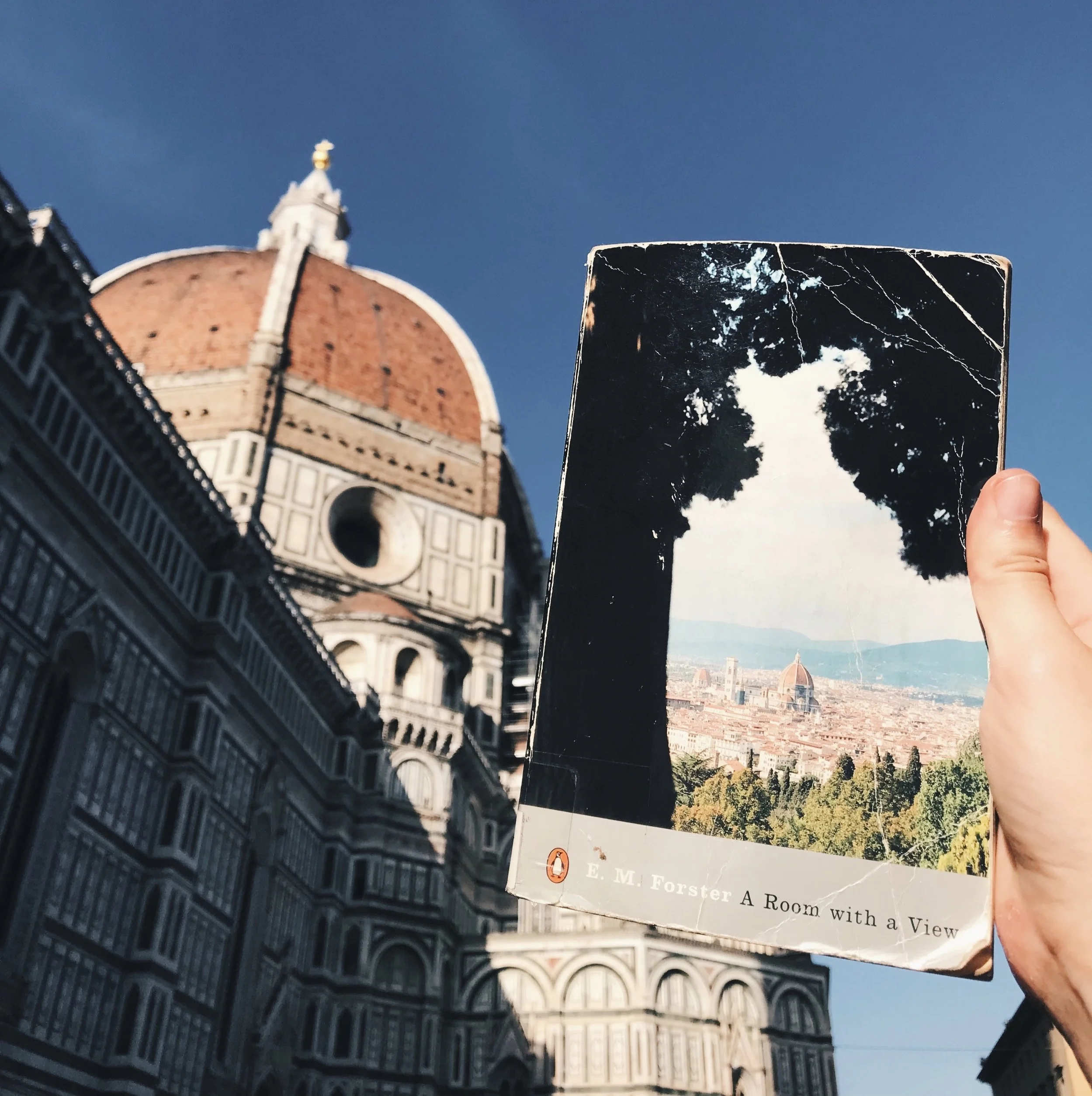 Beautiful Things Are Worth Pursuing: Battling Homesickness with A Room with a View