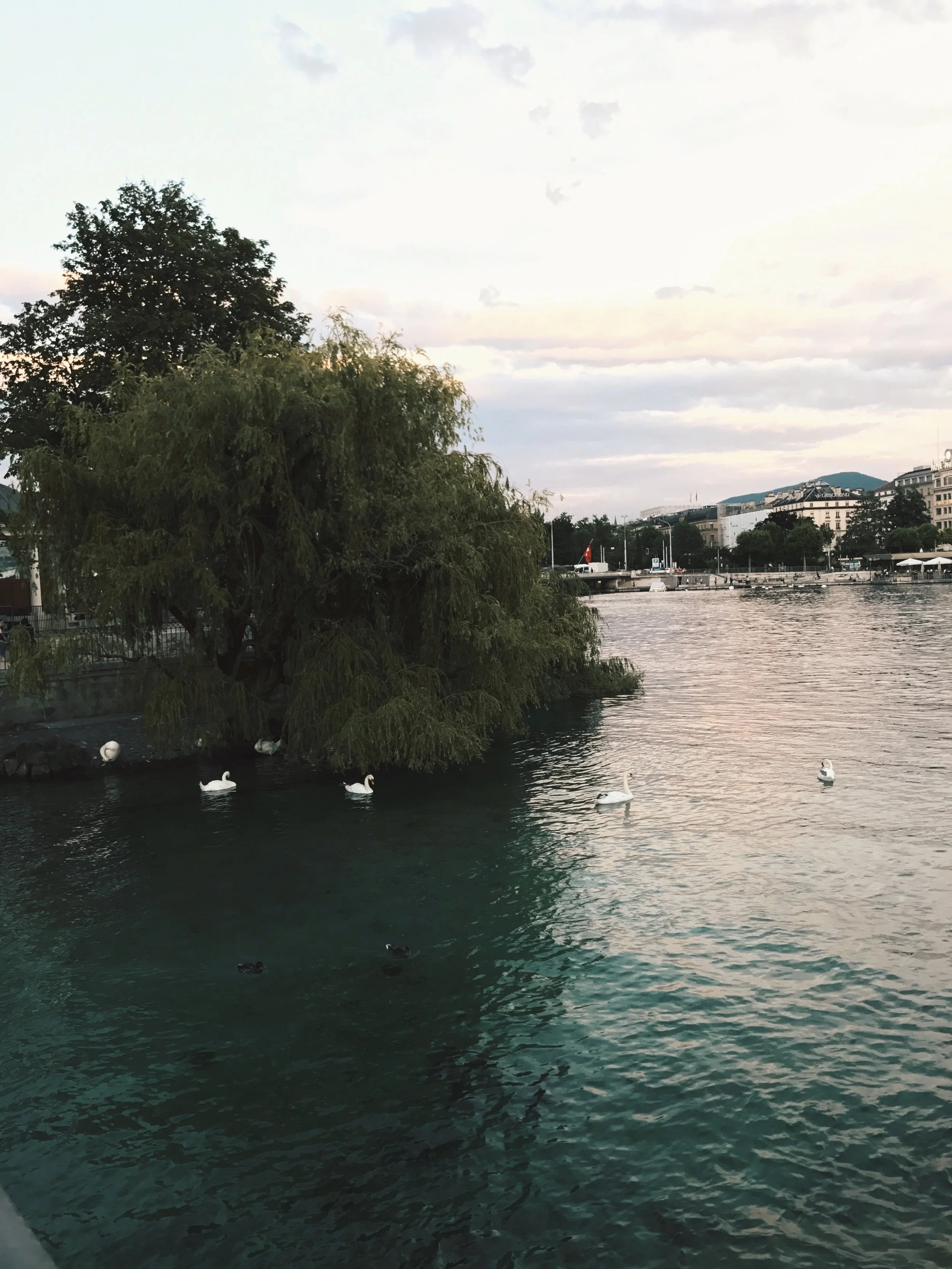 Five Things To Do This Summer