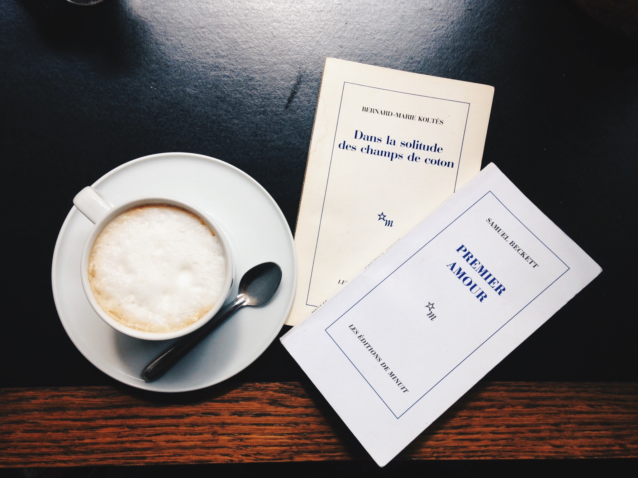 Introducing Eight Francophone Authors