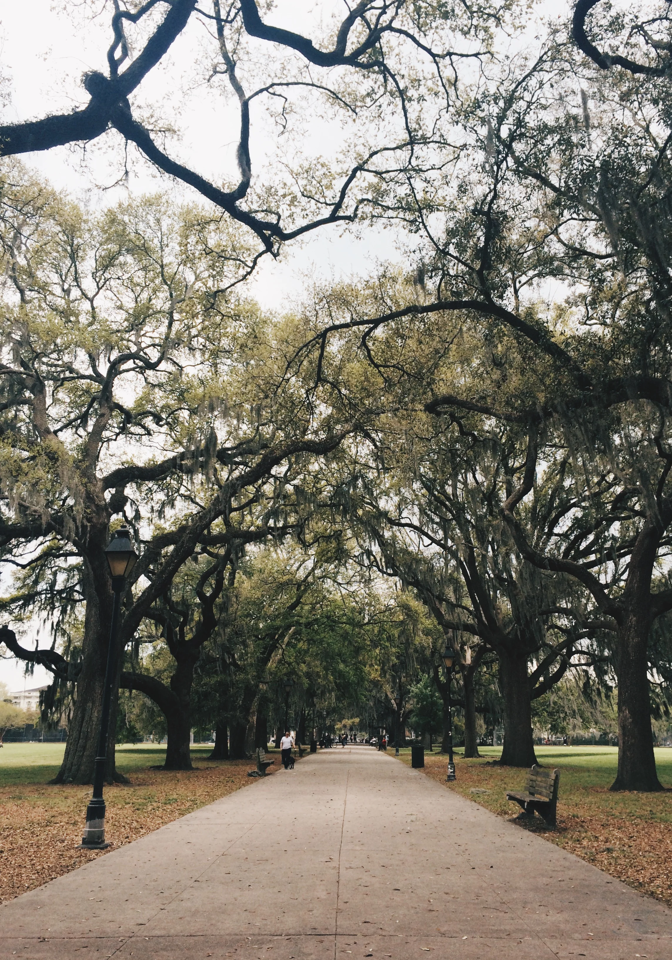 Travel Through the Pages: The South