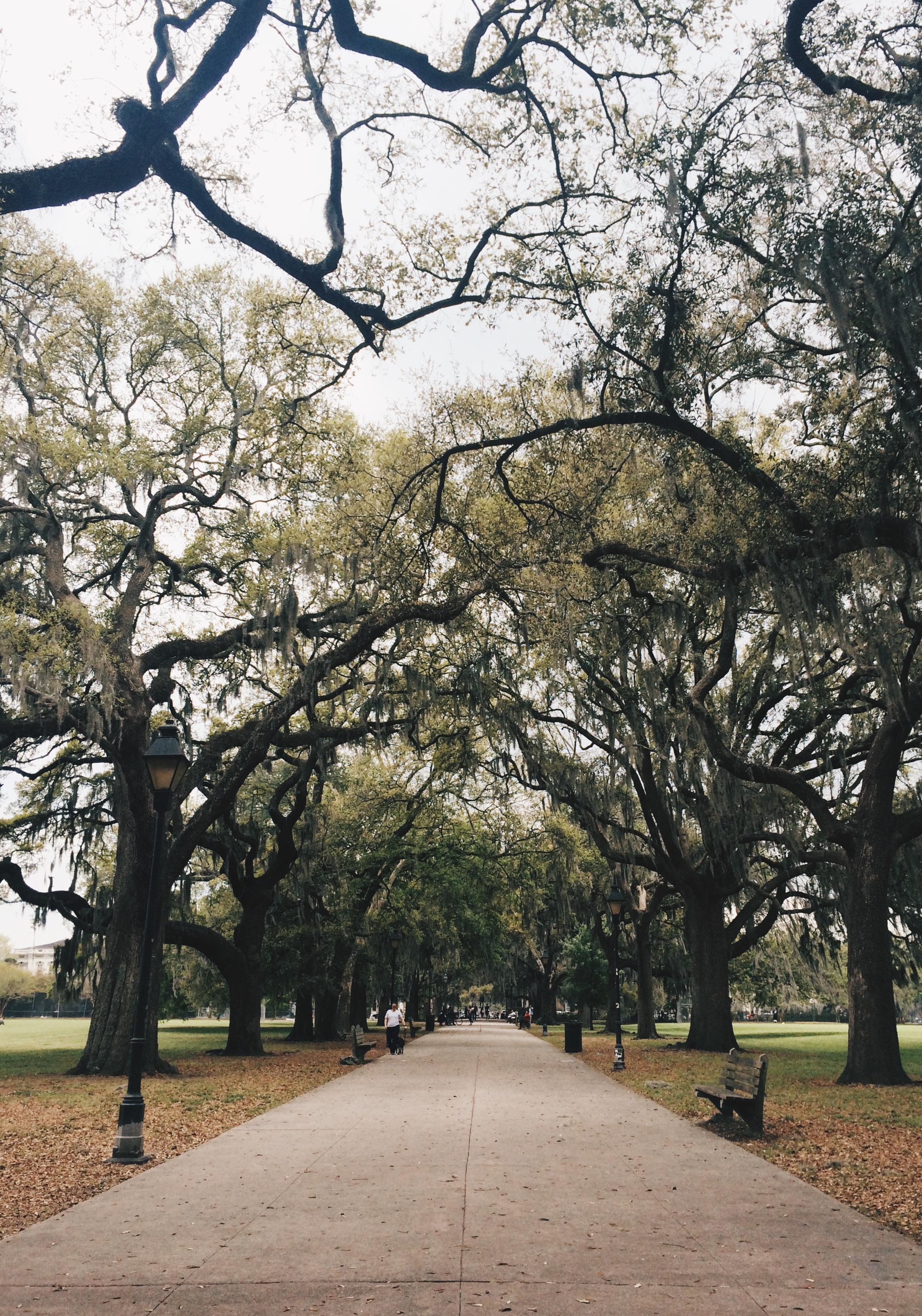 Forsyth Park, Savannah, where many characters interact. Photo by Raquel Reyes.