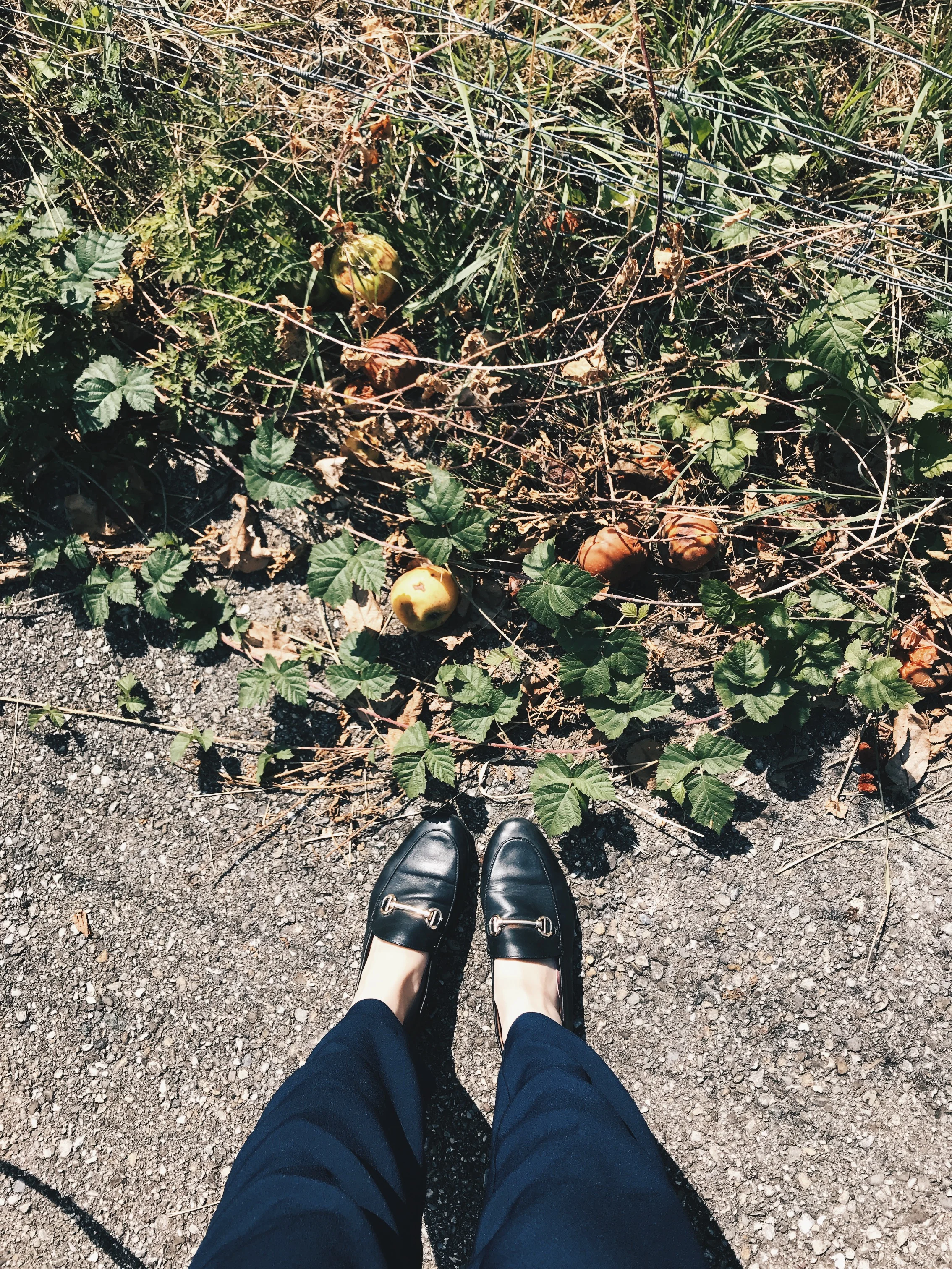 Five Things to Do This September