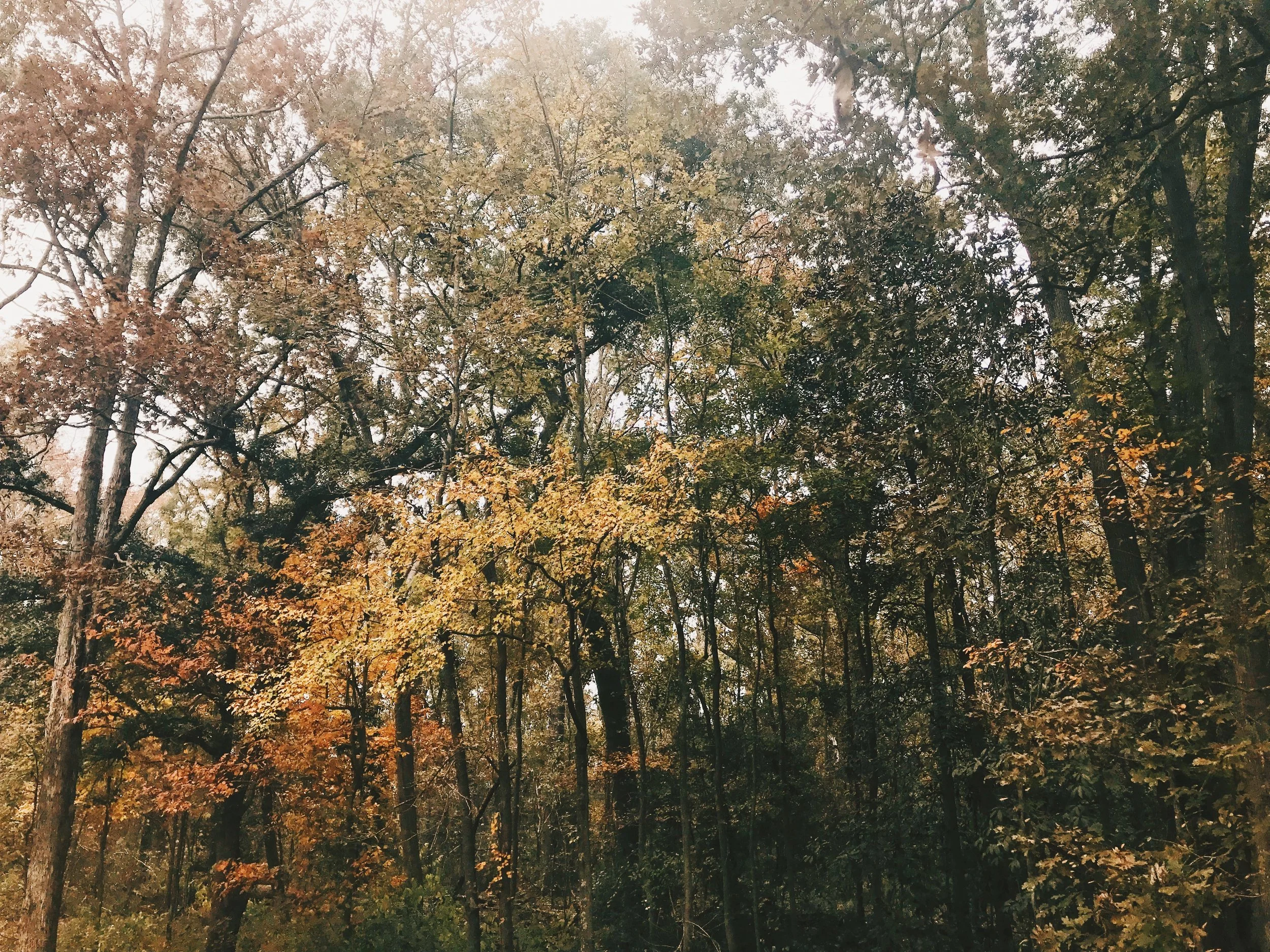 The Goodness of Others