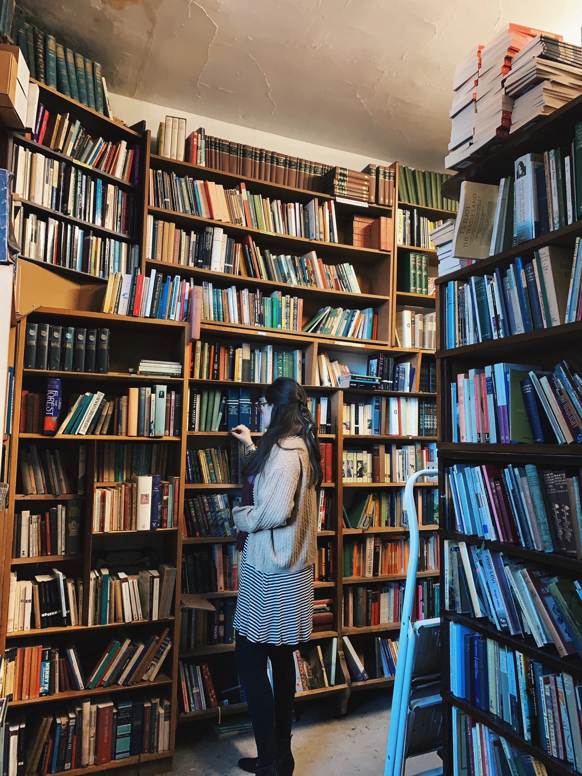 What We’re Reading, Vol. 13