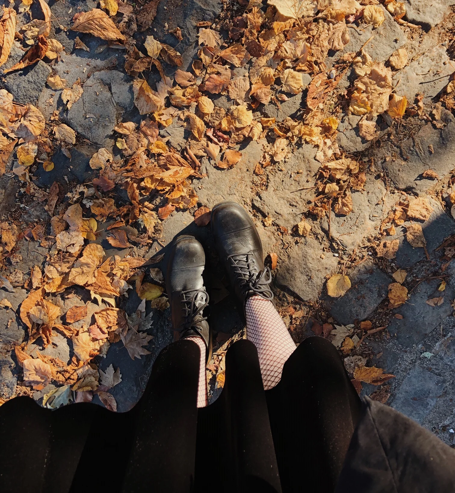 Autumn at The Attic with Mary Hitchman