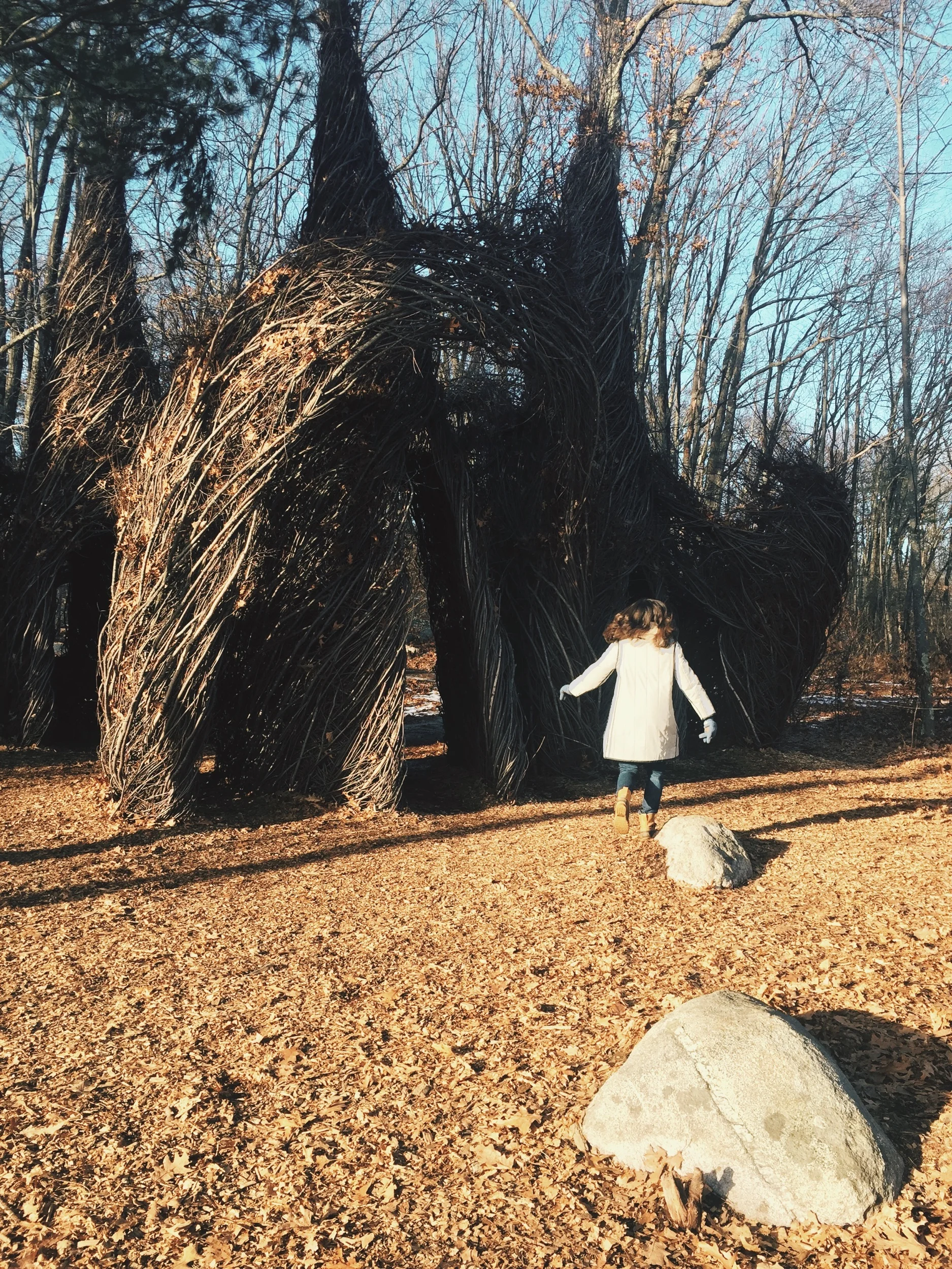 Autumn at The Attic with Zoë G. Burnett