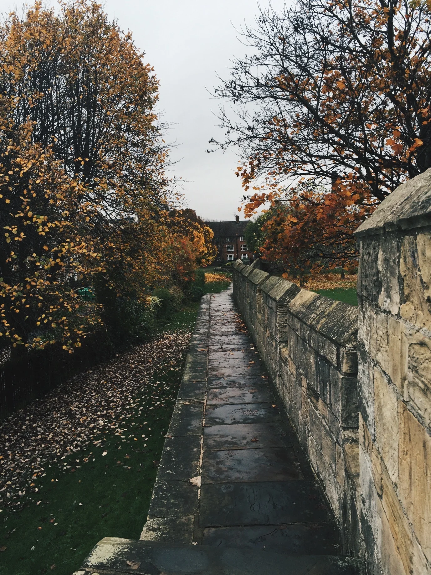 Five Things to Do This November