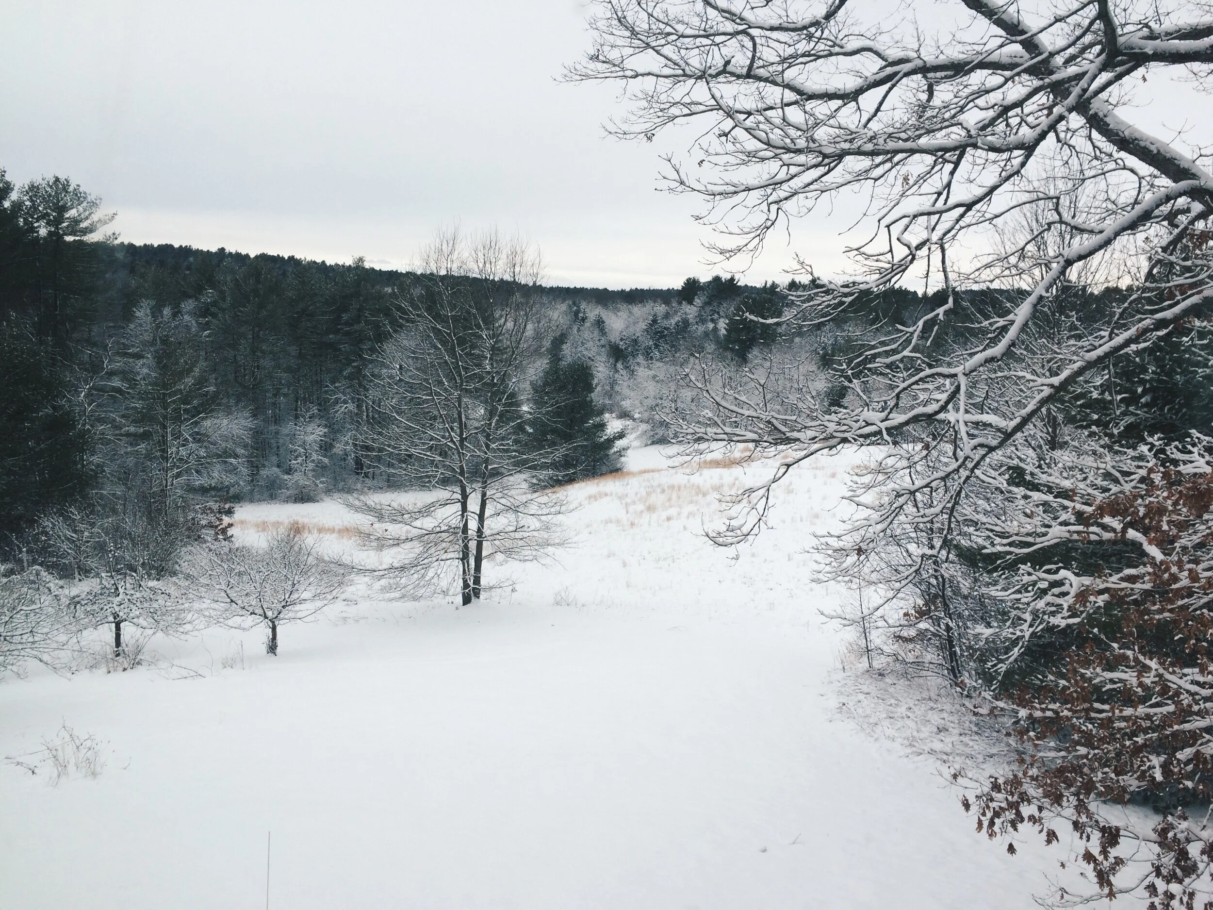 Five Favorite Winter Films