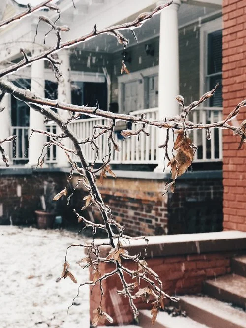 Five Things to Do This January