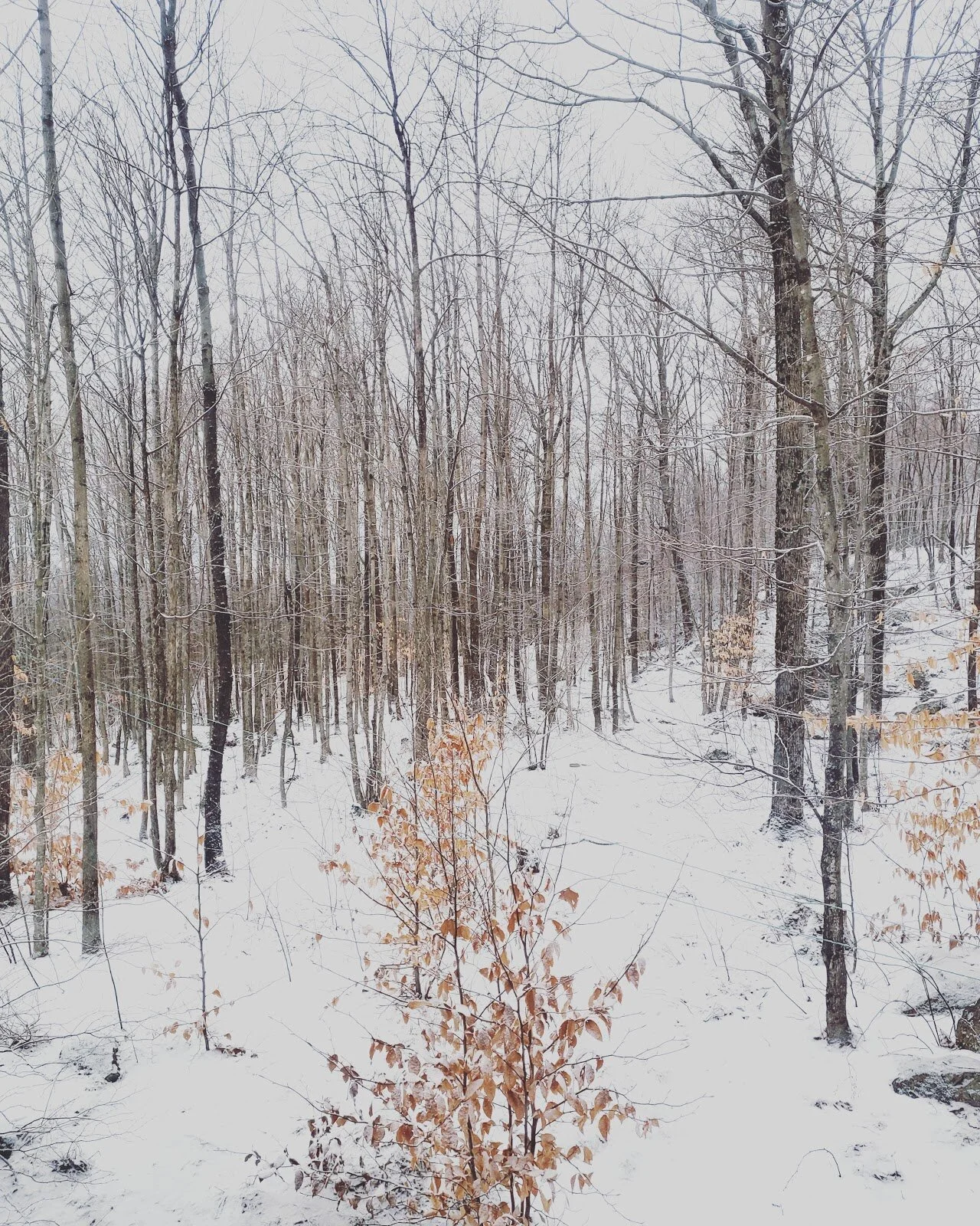 Four Nordic Recommendations To Indulge Your Winter Blues