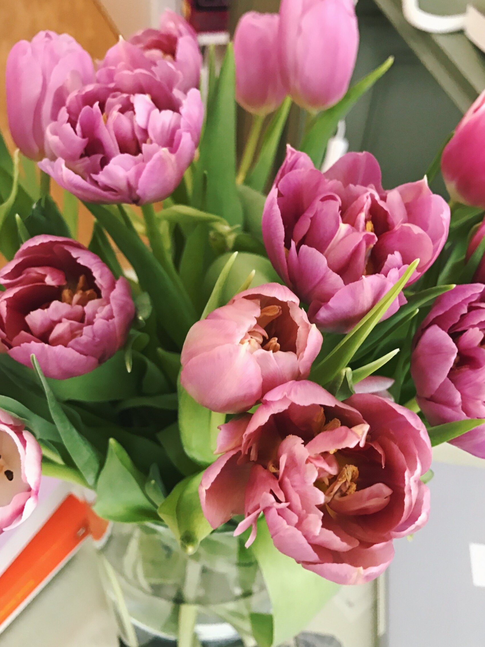 Five Things to Do this March 