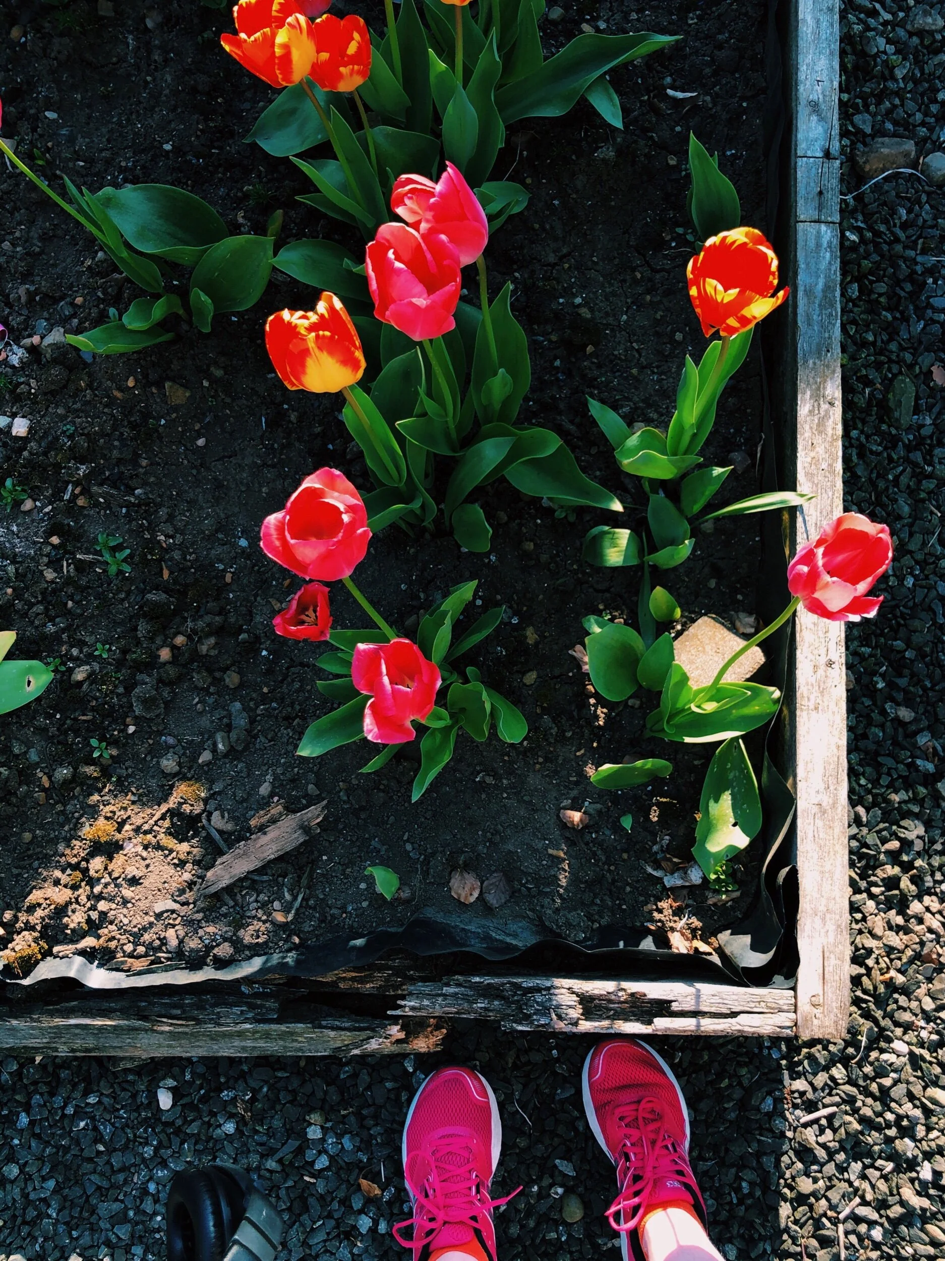 Comforting Things, Vol. 7: Jessica Armstrong