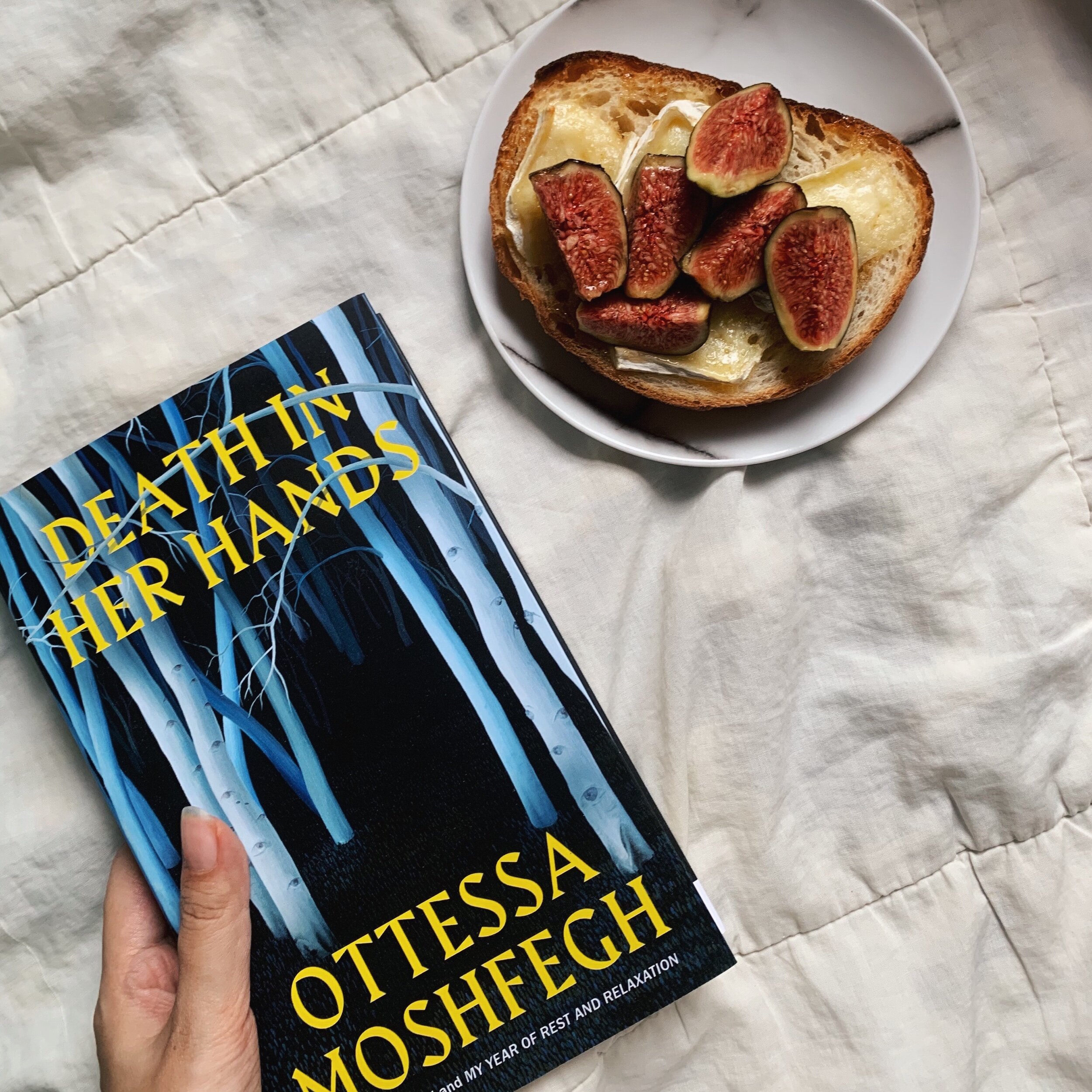 Anaesthetised by Solitude: On Ottessa Moshfegh’s Death in Her Hands