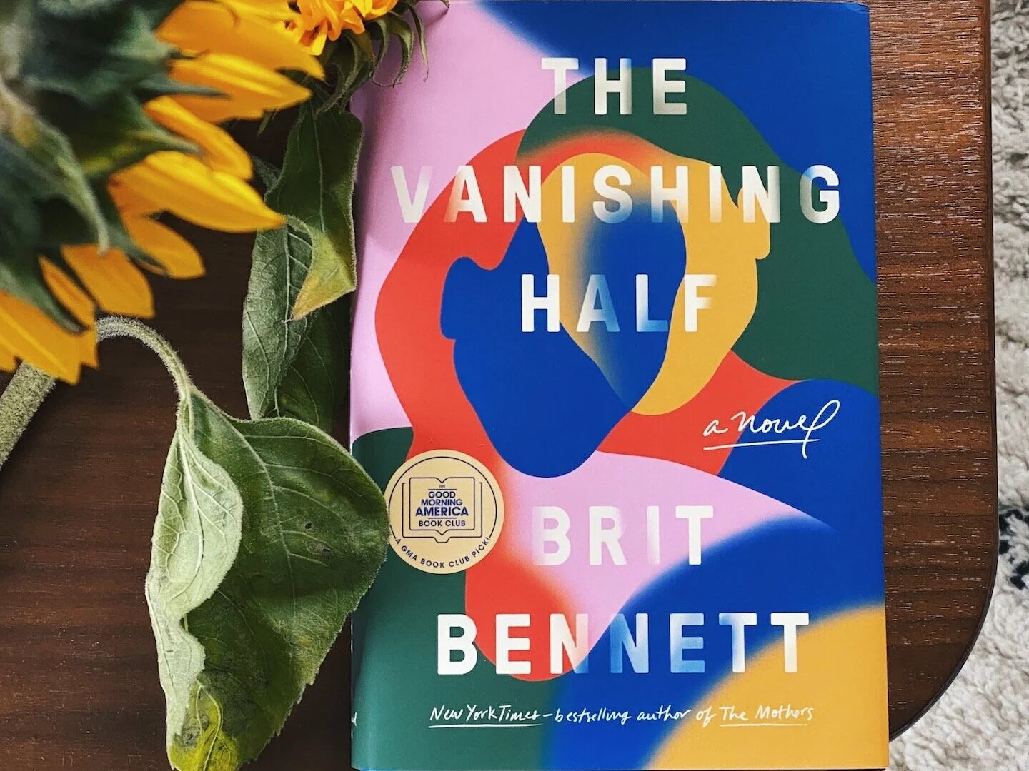 Fractured Family in Brit Bennett's The Vanishing Half