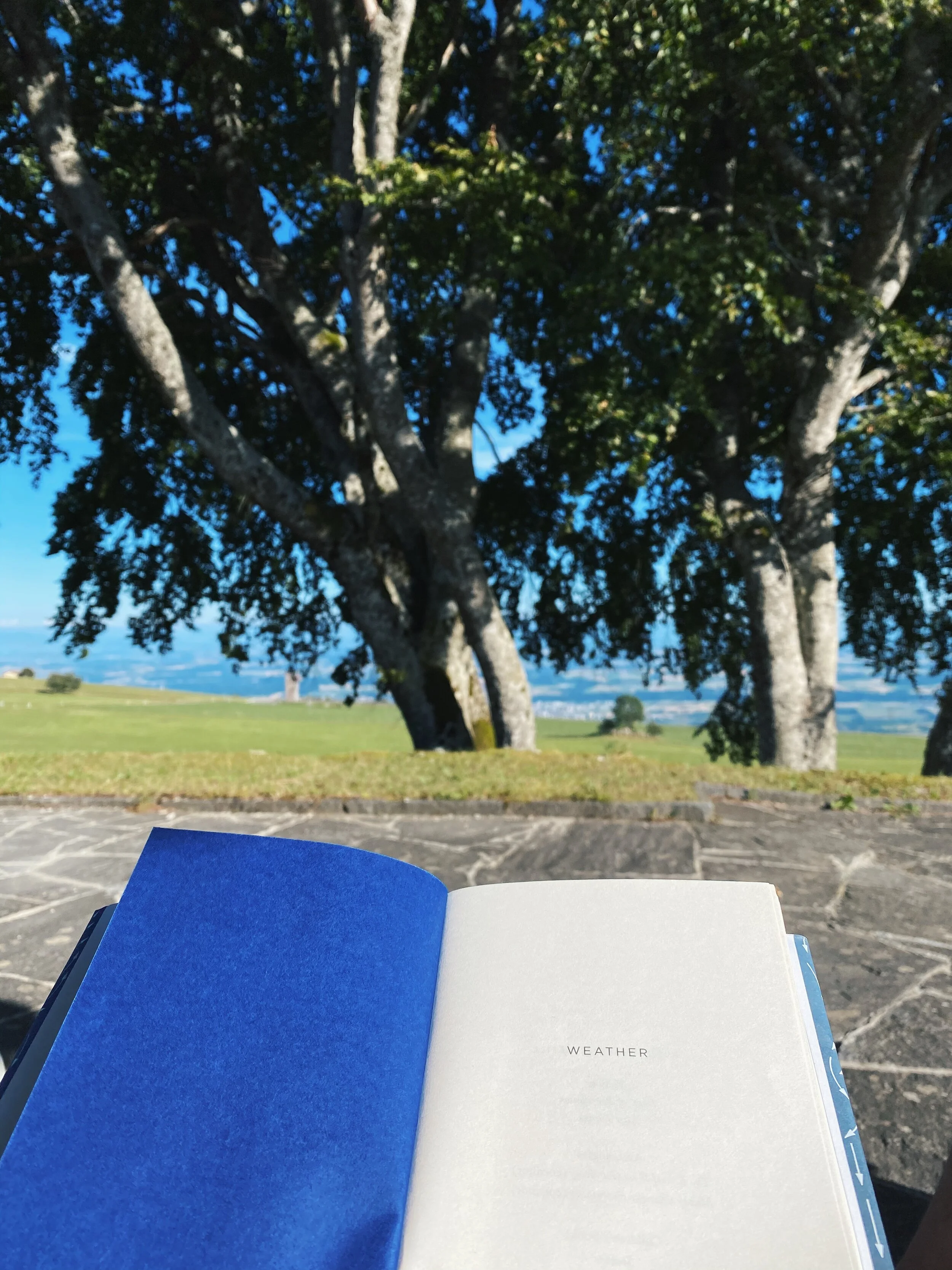 What We're Reading, Vol. 25: August 2020