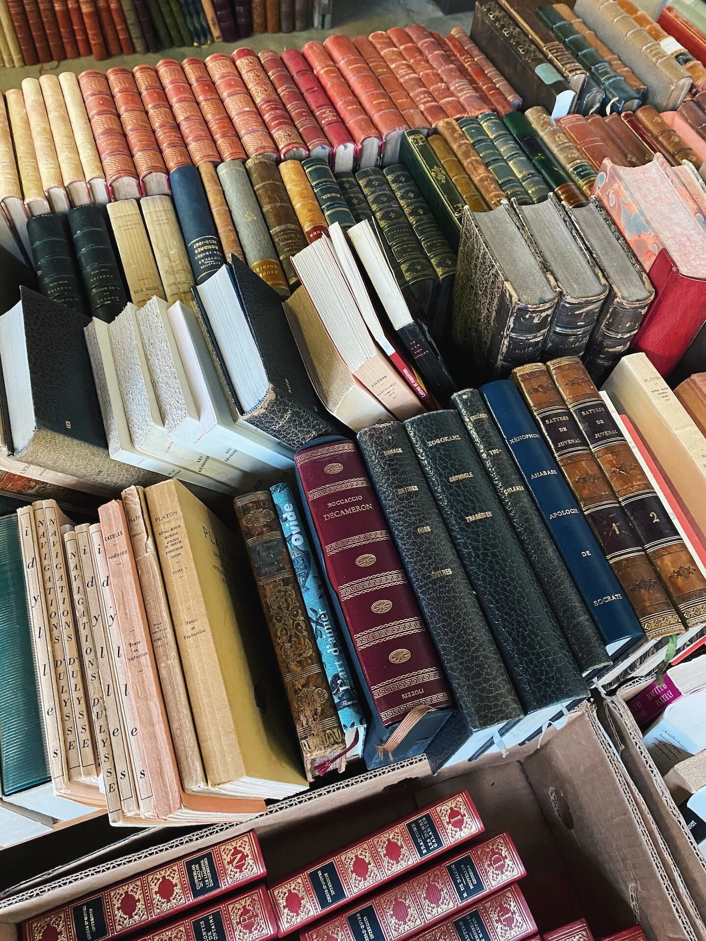 What We're Reading, Vol. 27 – October 2020