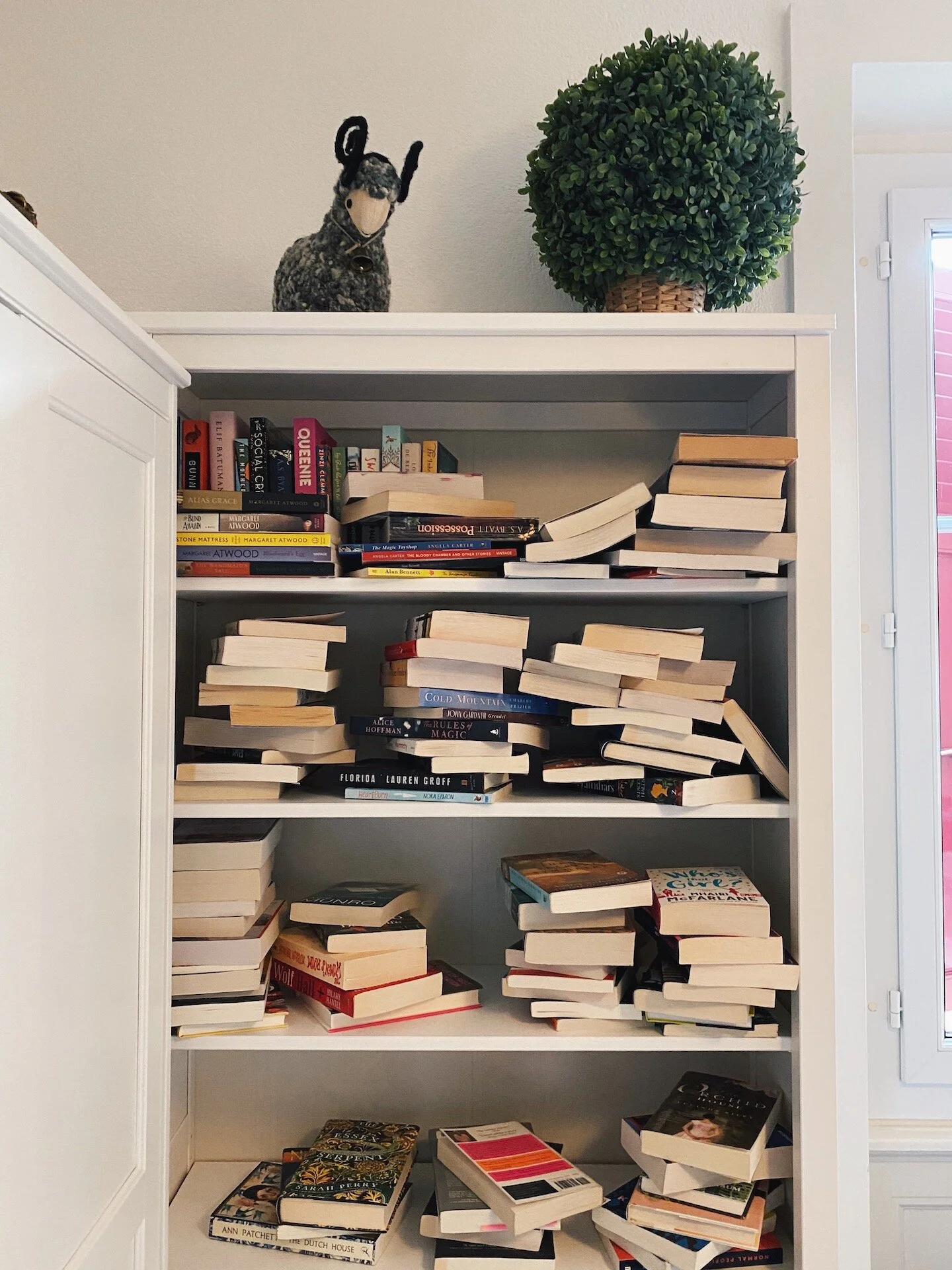 What We're Reading, Vol. 28:  November 2020 