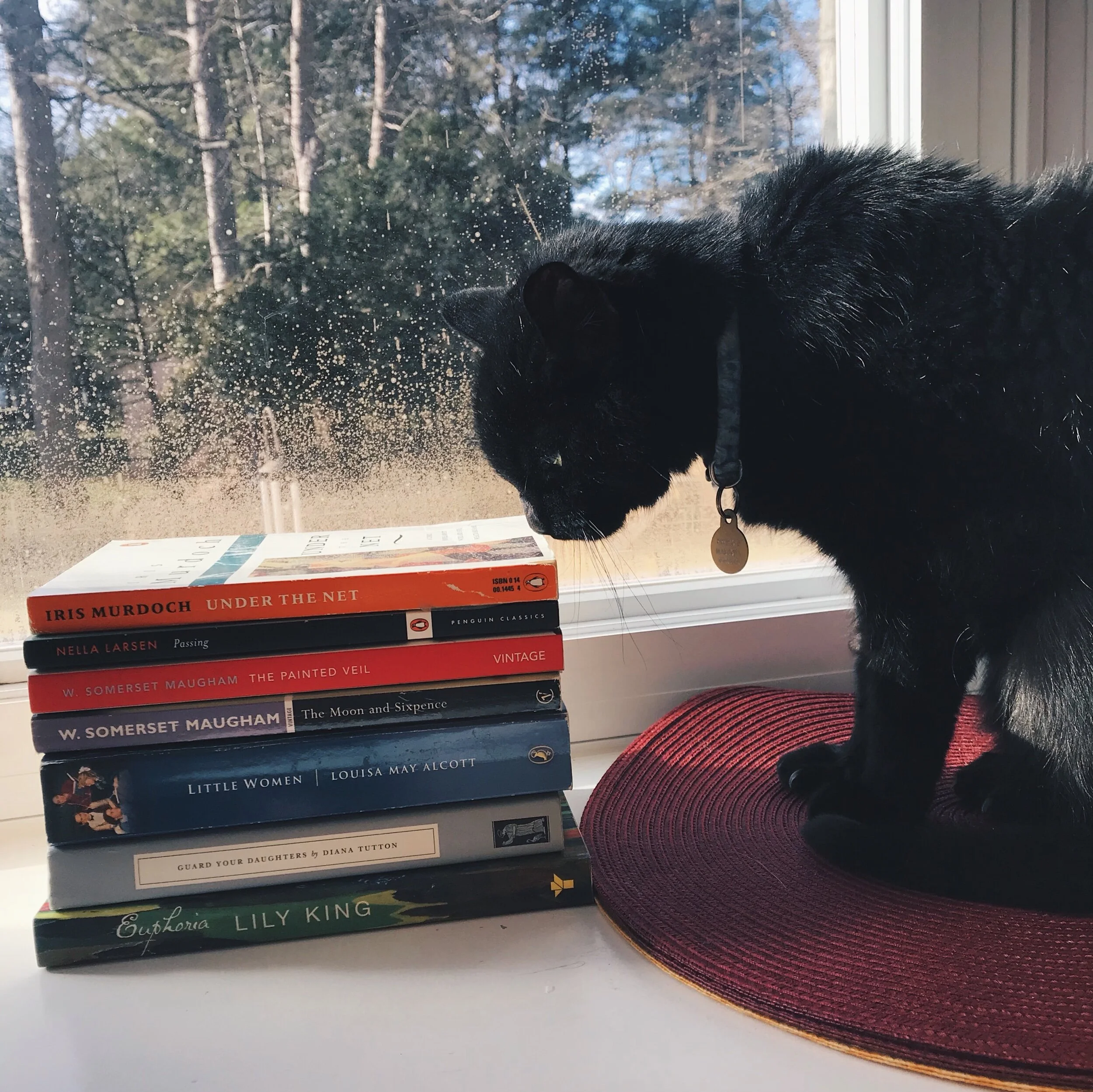 Our 2020 in Books: Kiely Schuck
