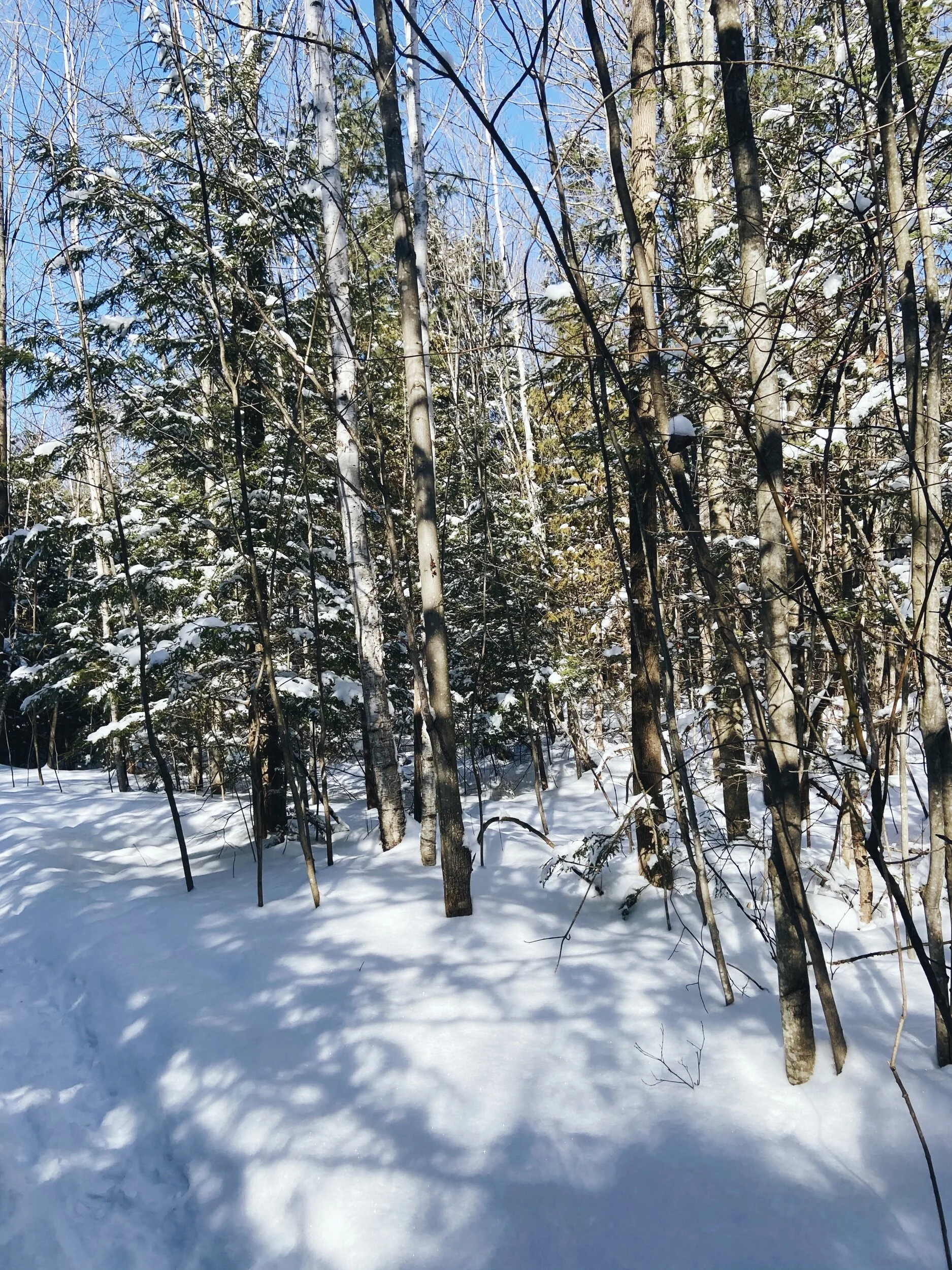 Keeping Warm: Reflections on Katherine May’s Wintering
