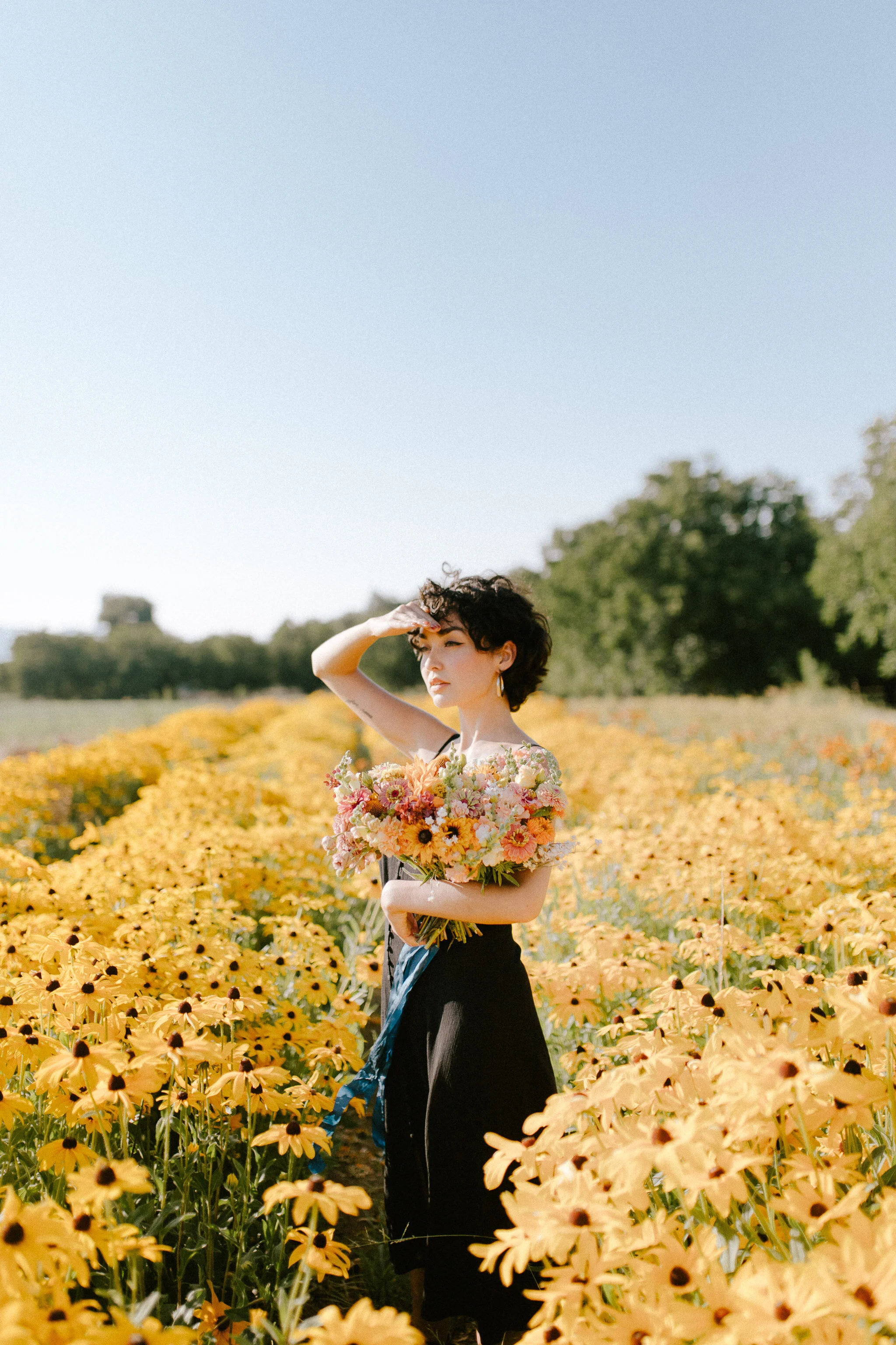 California Field Of Flowers At Organic Farm Sarah Ching Photography