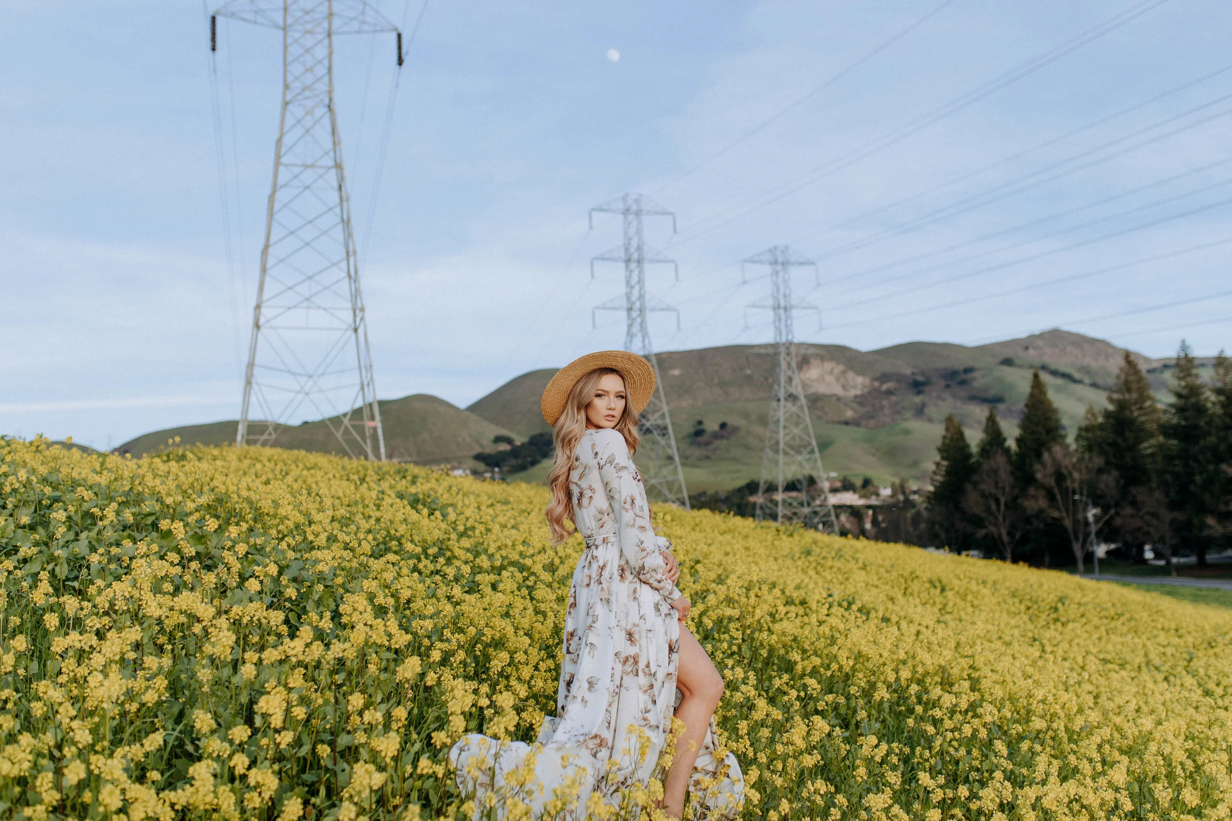 A Field of Mustard
