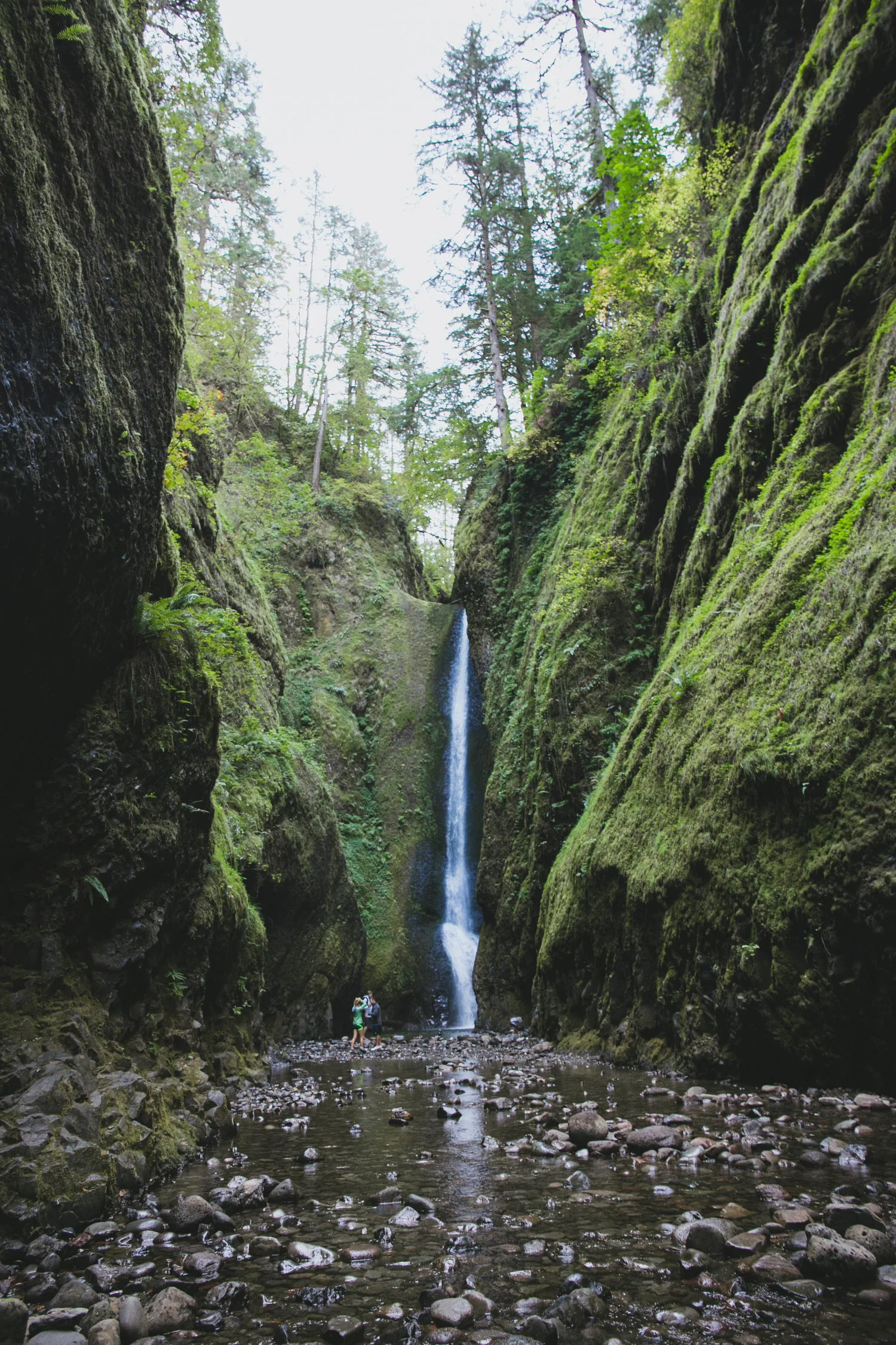 Oneonta Gorge | Portland, OR