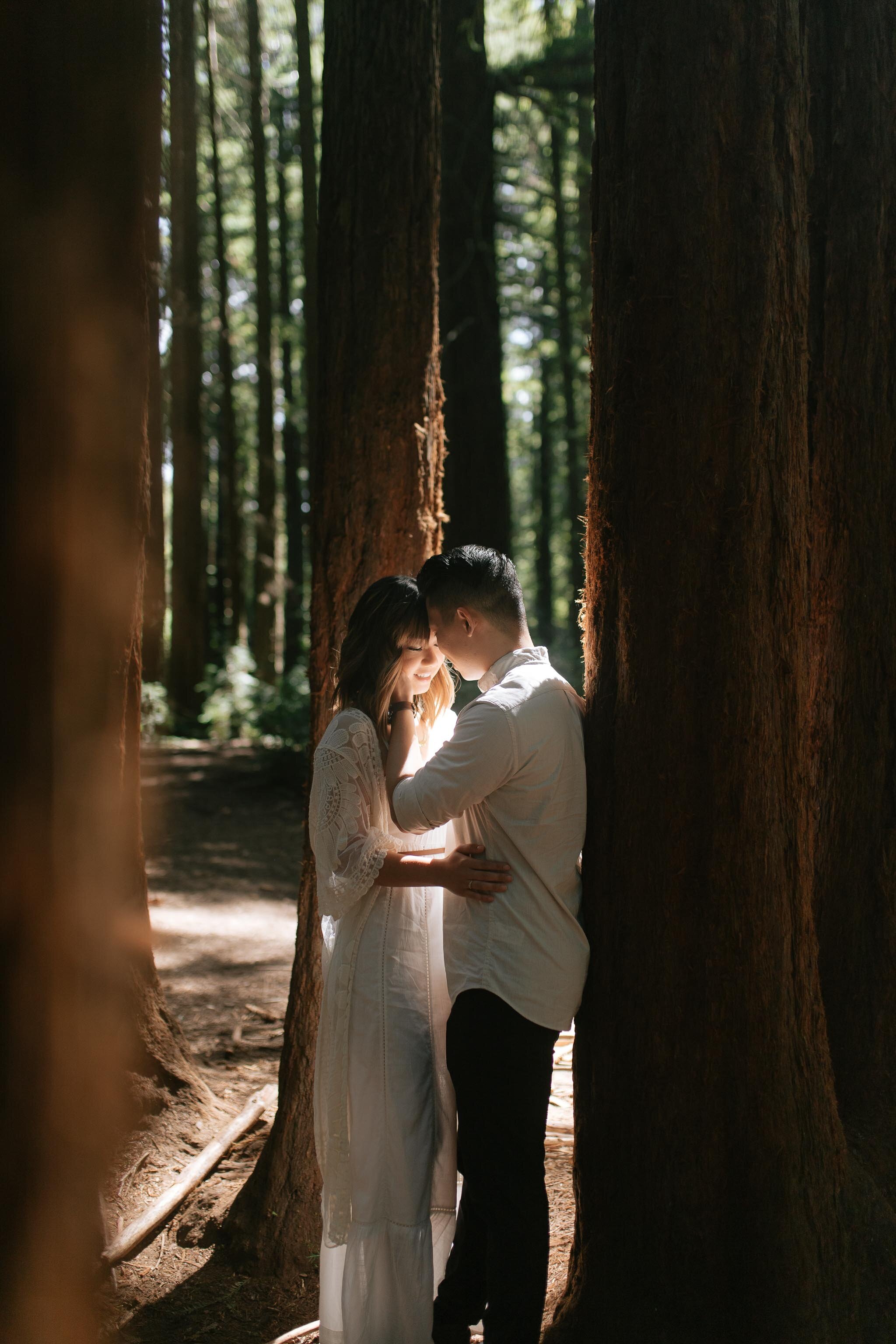 oakland-redwoods-engagement-11.jpg